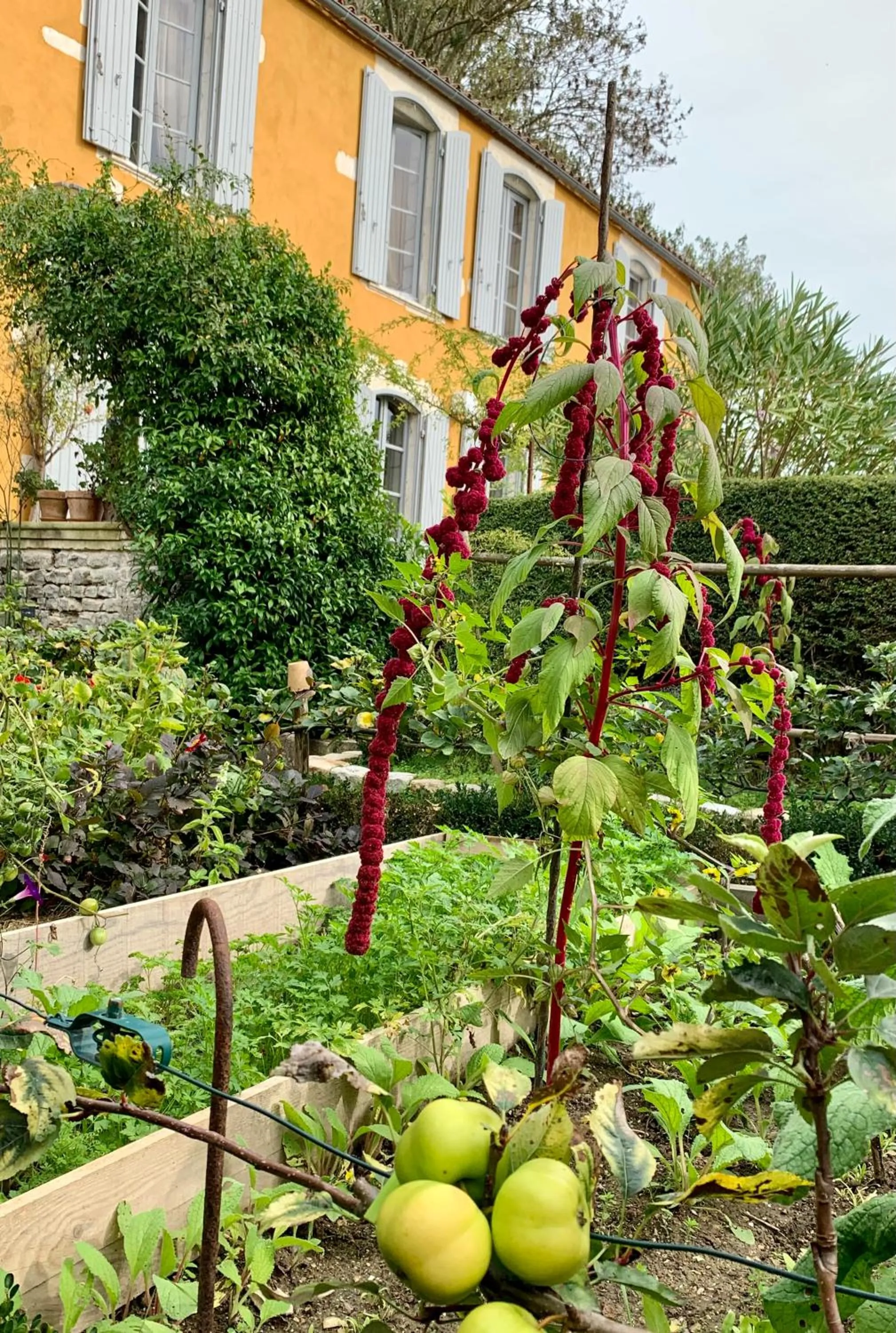 Chambres d'hôtes La Borderie du Gô près de La Rochelle - Nieul