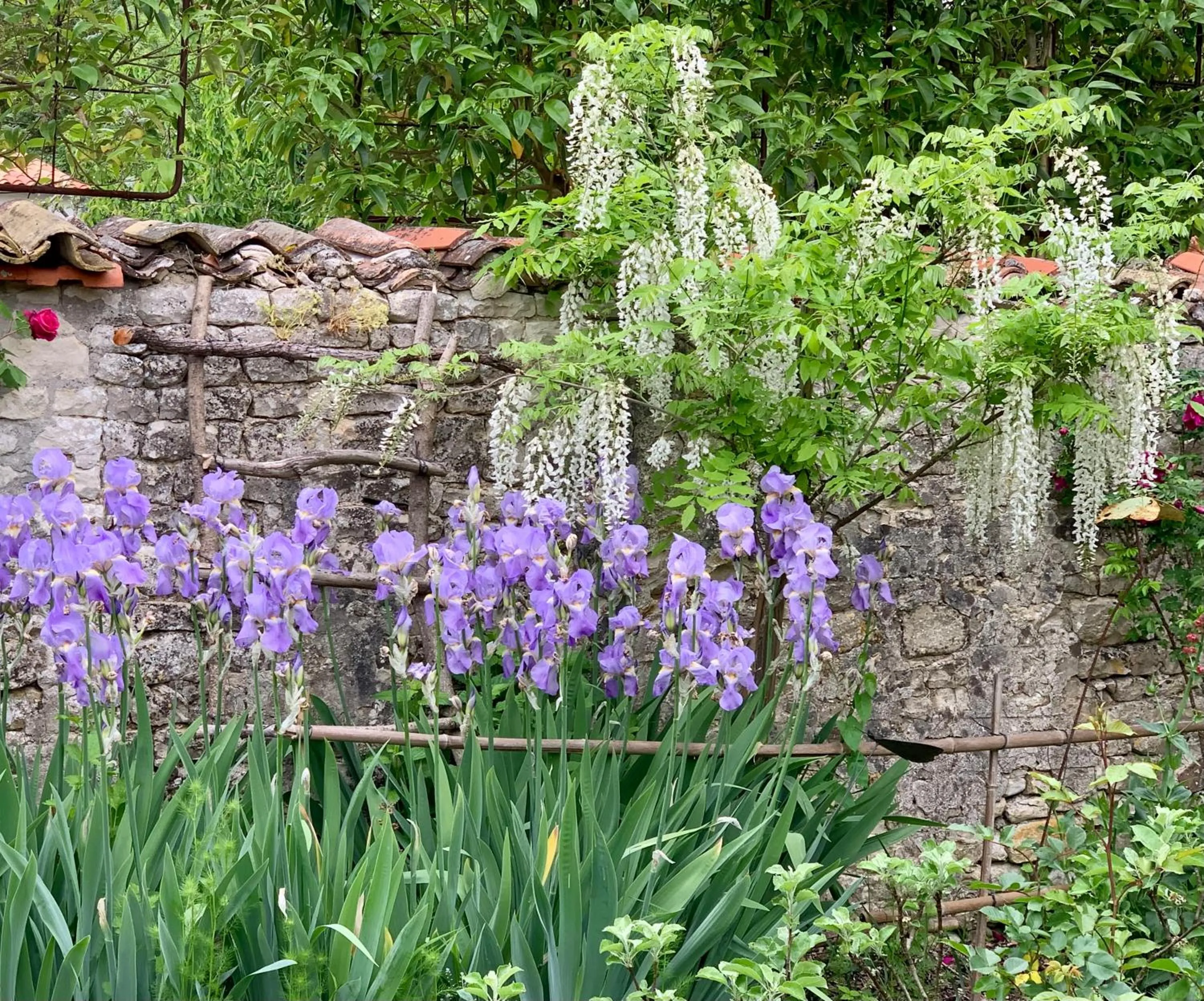 Chambres d'hôtes La Borderie du Gô près de La Rochelle - Nieul