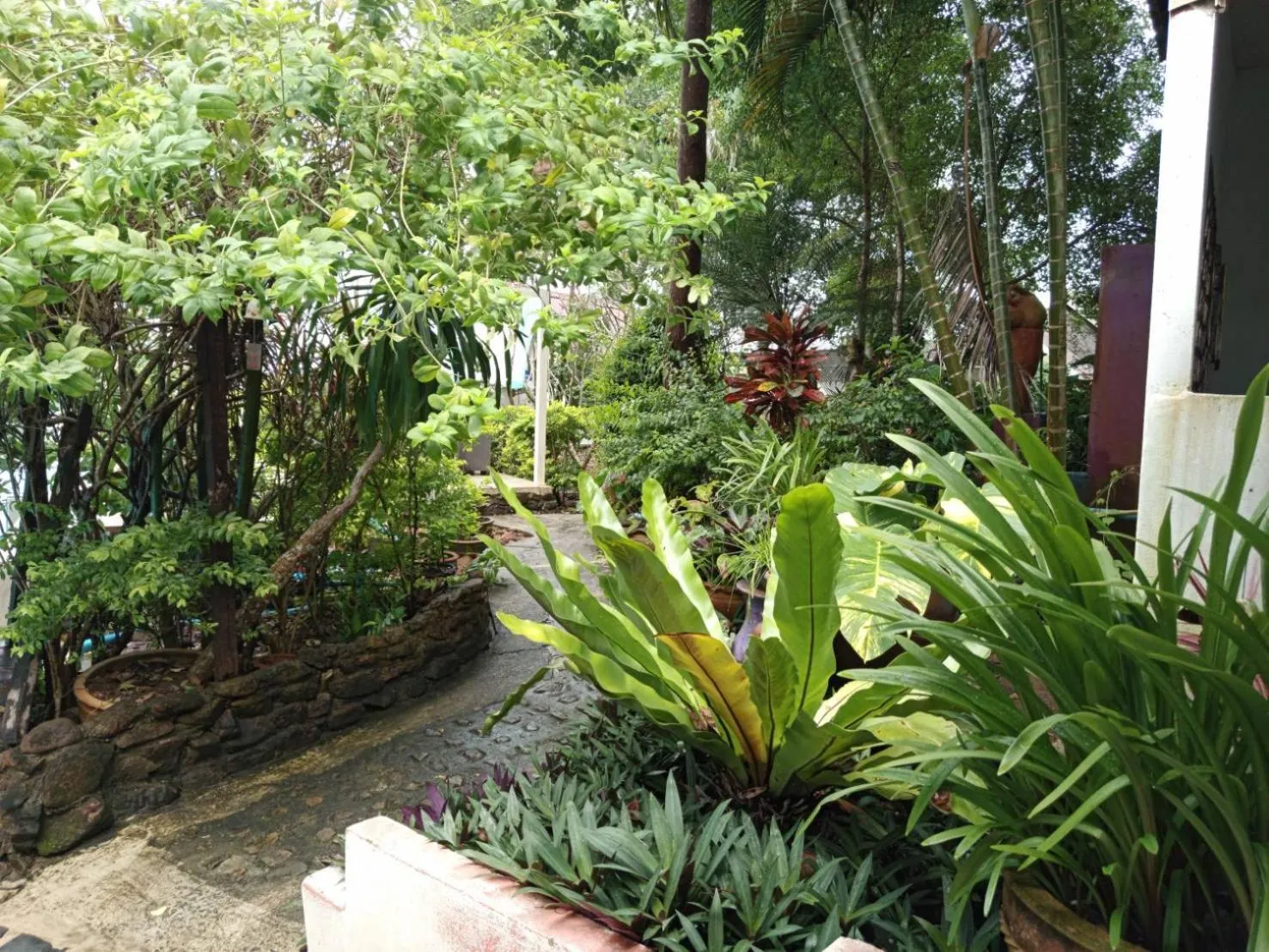 Garden view in Faye Orchid Garden Resort