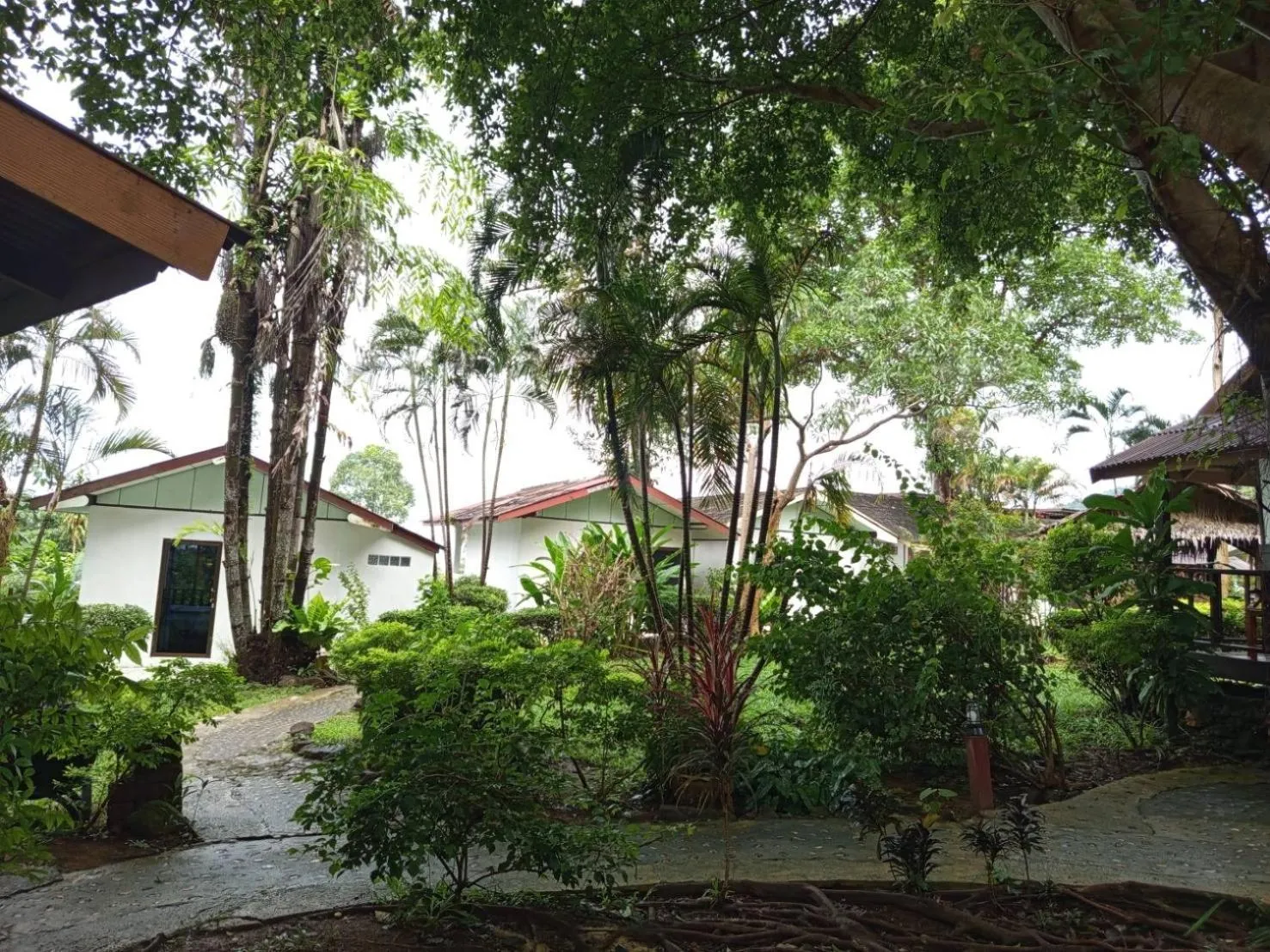 Garden view in Faye Orchid Garden Resort