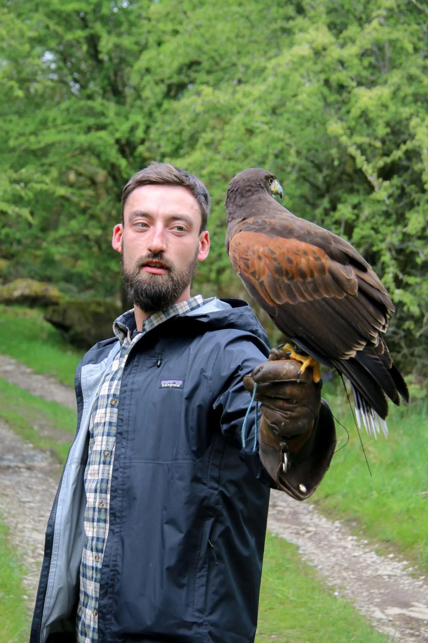 Activities in The Wild Boar