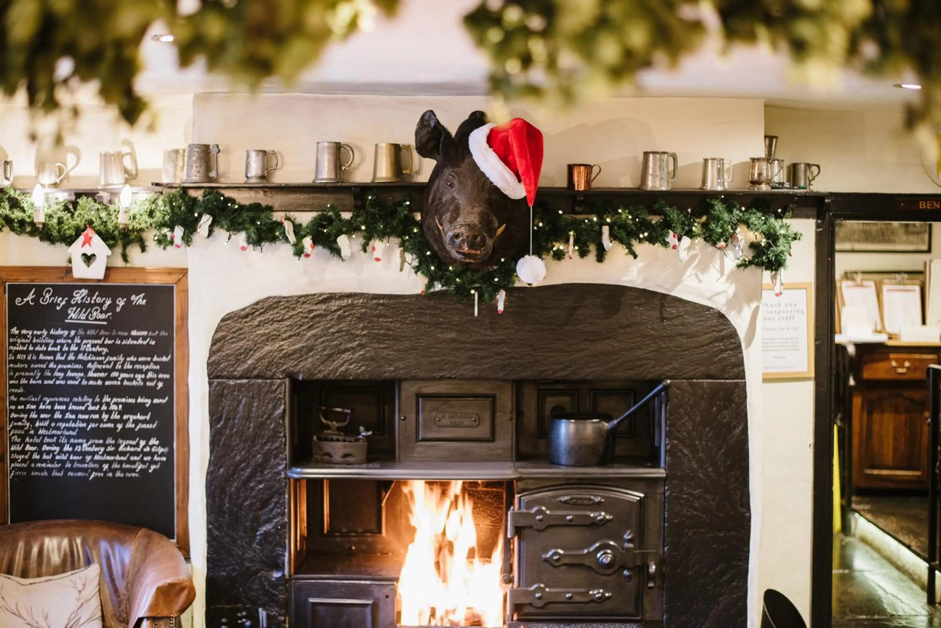 Winter in The Wild Boar