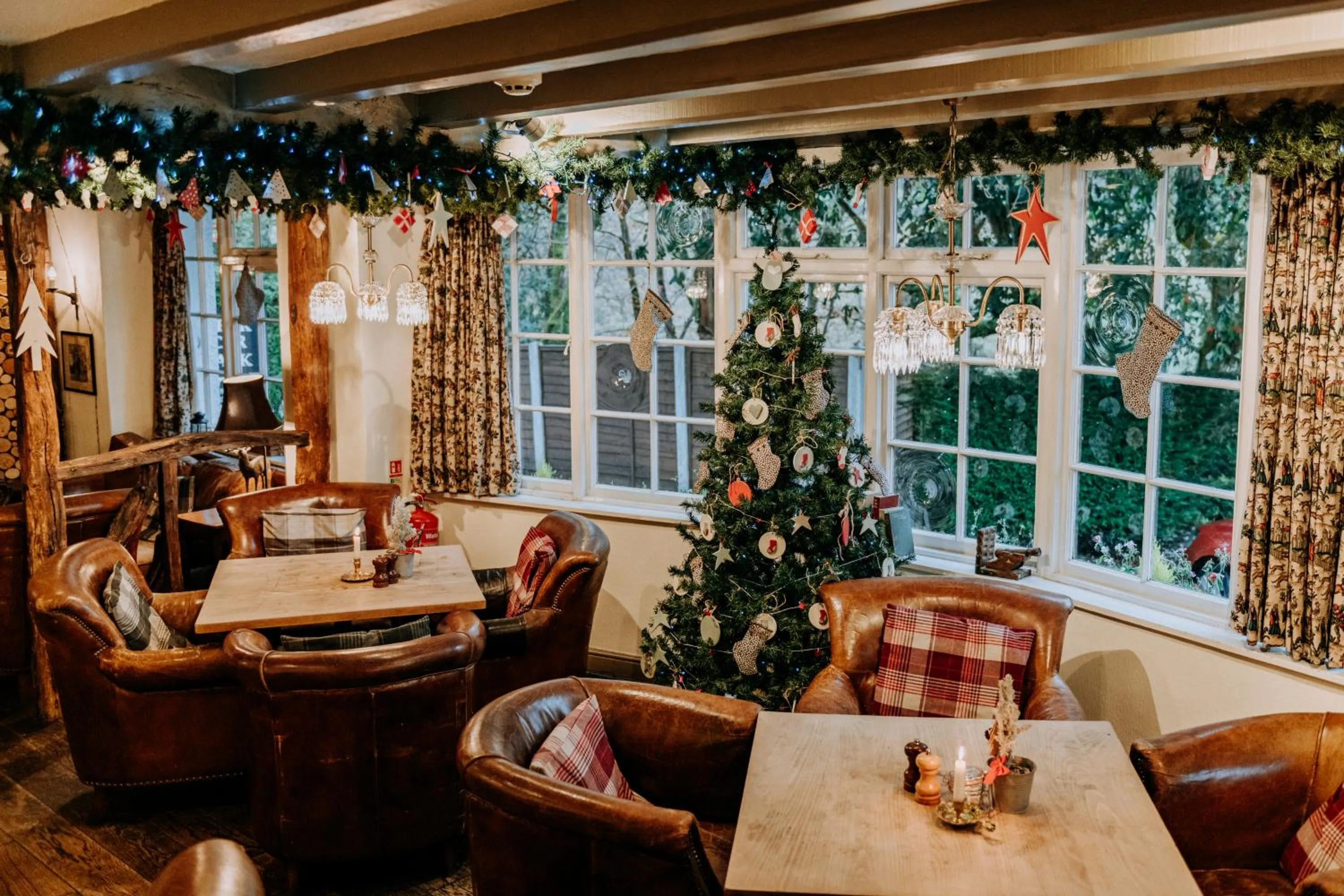 Winter in The Wild Boar