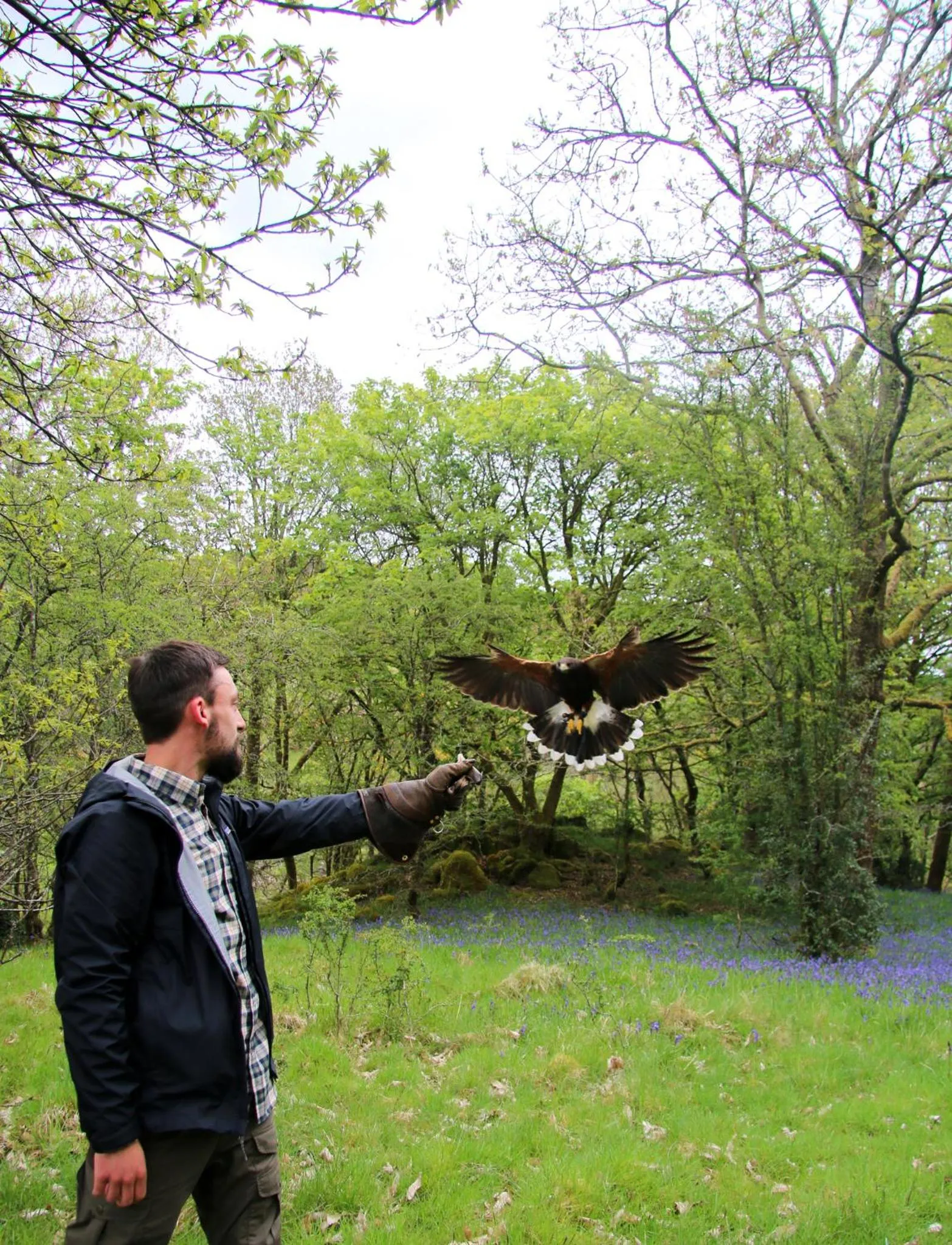 Activities in The Wild Boar