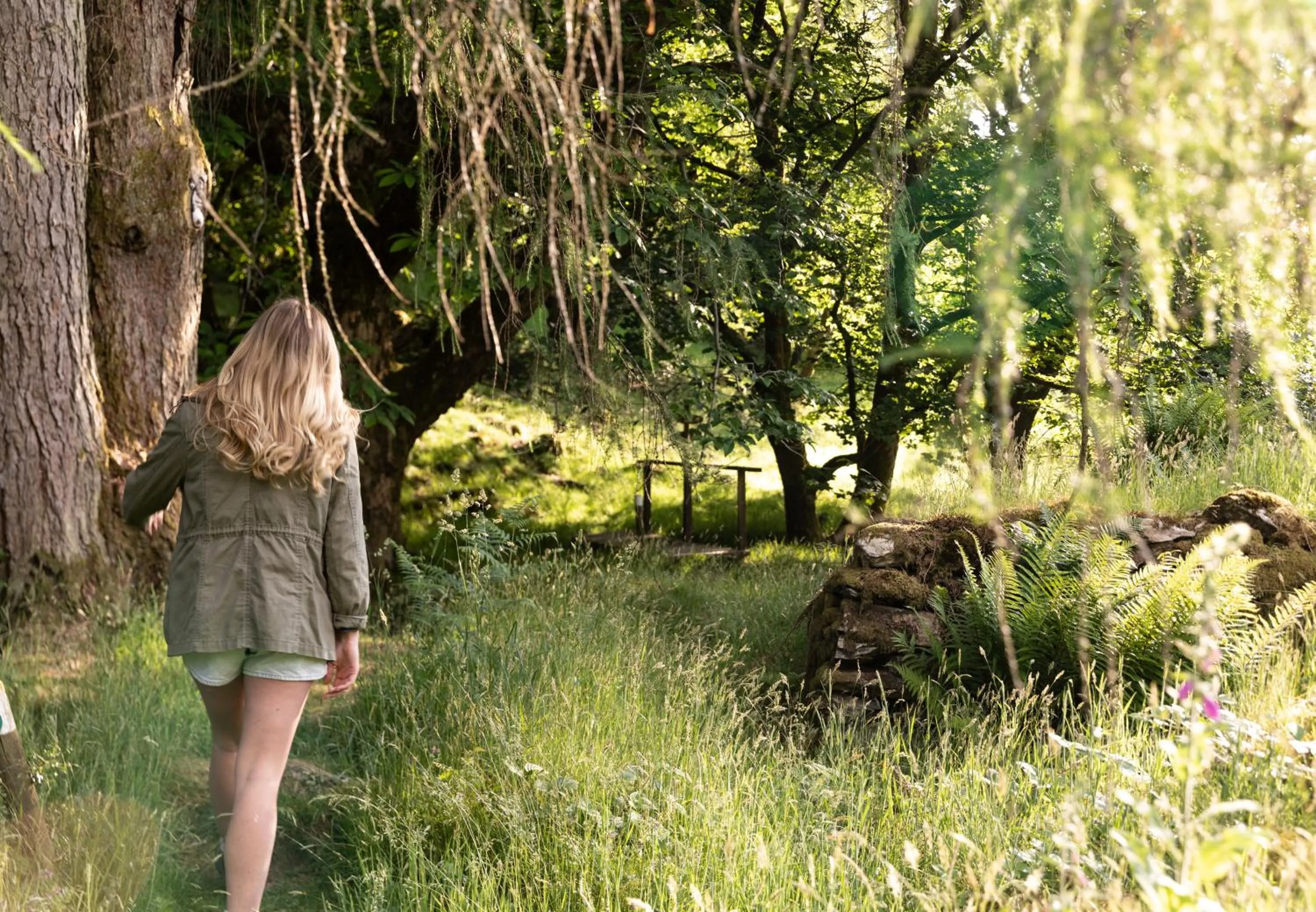 Spring in The Wild Boar