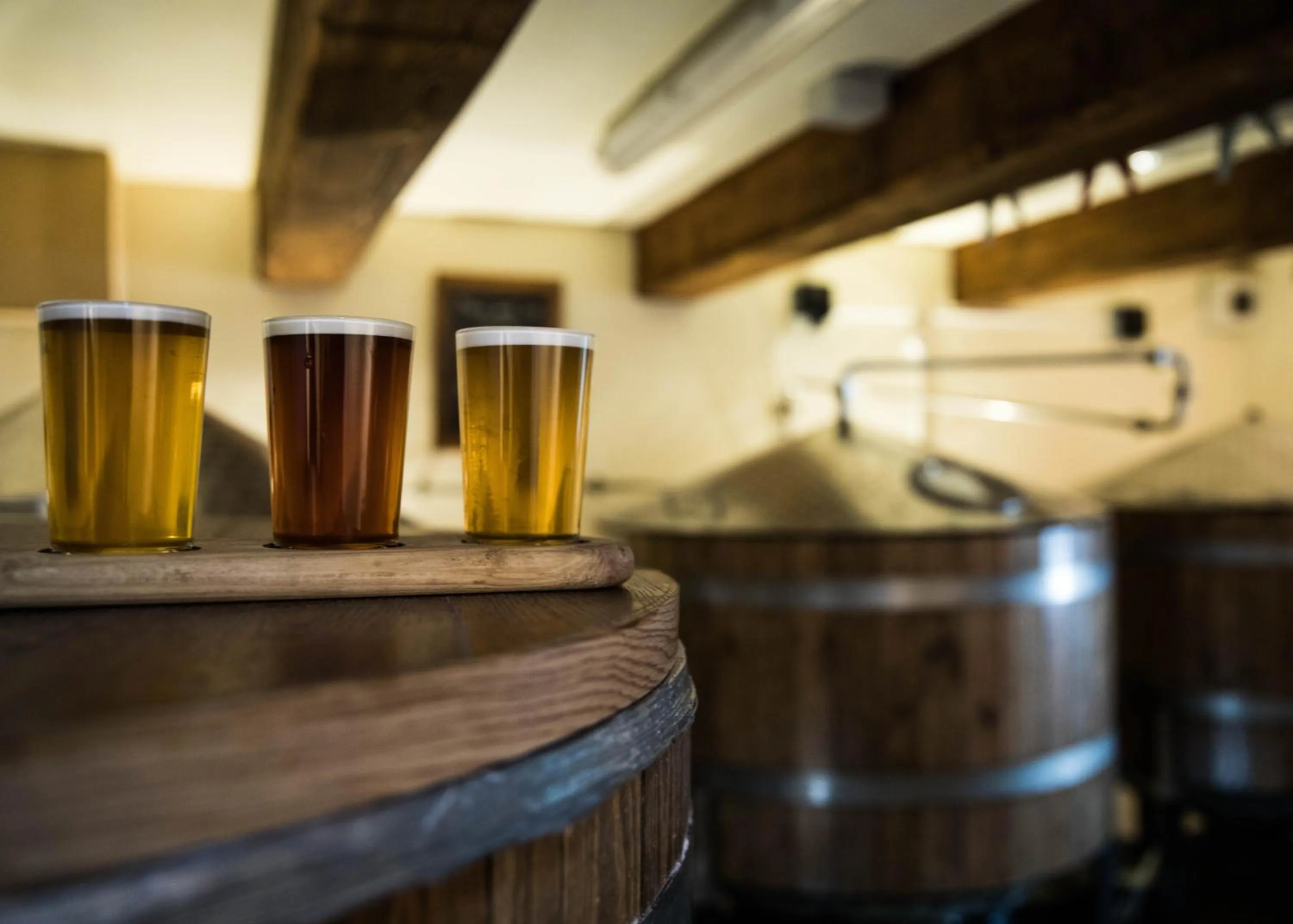 Activities in The Wild Boar