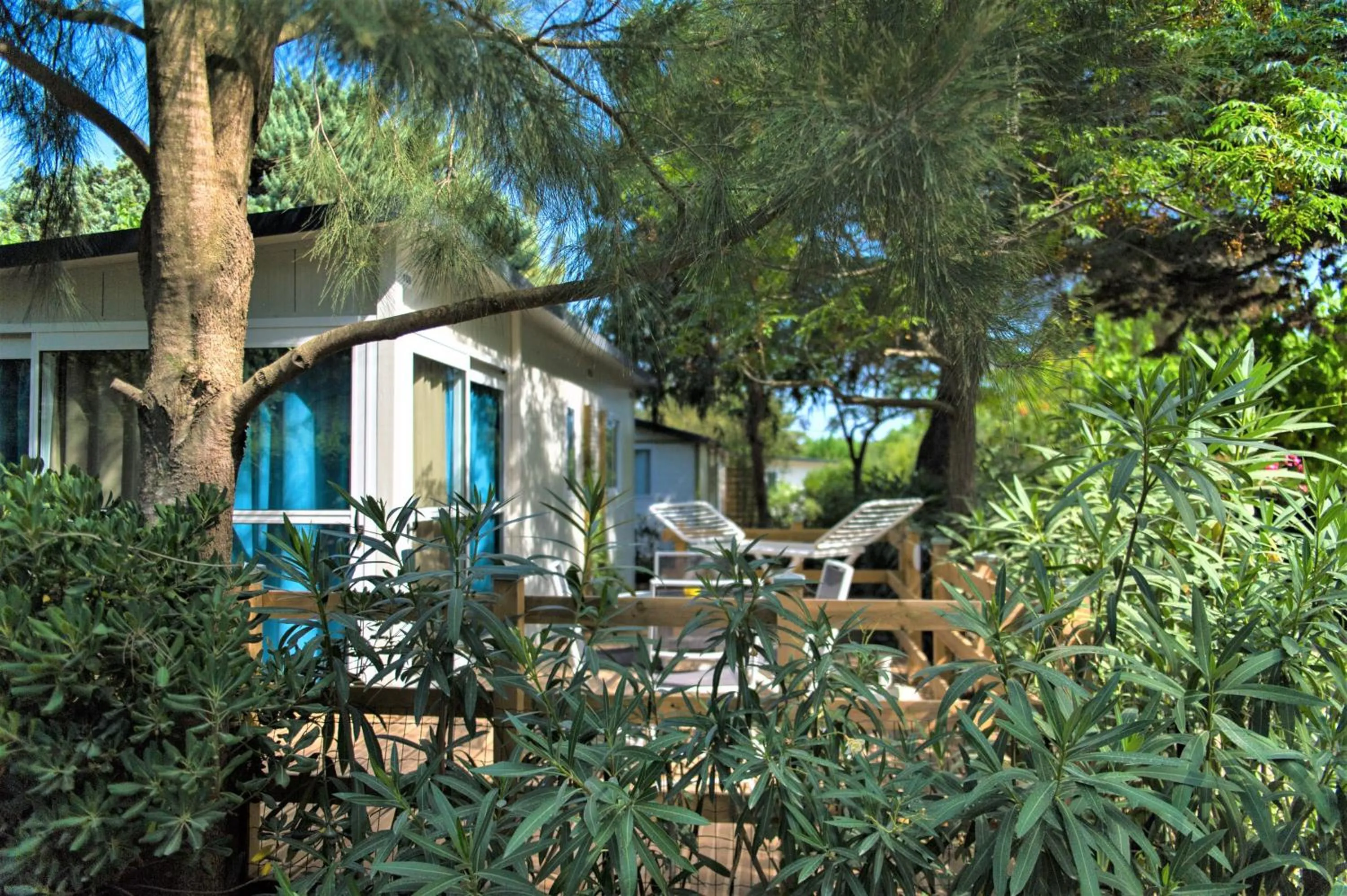 Camping La Pinède Enchantée