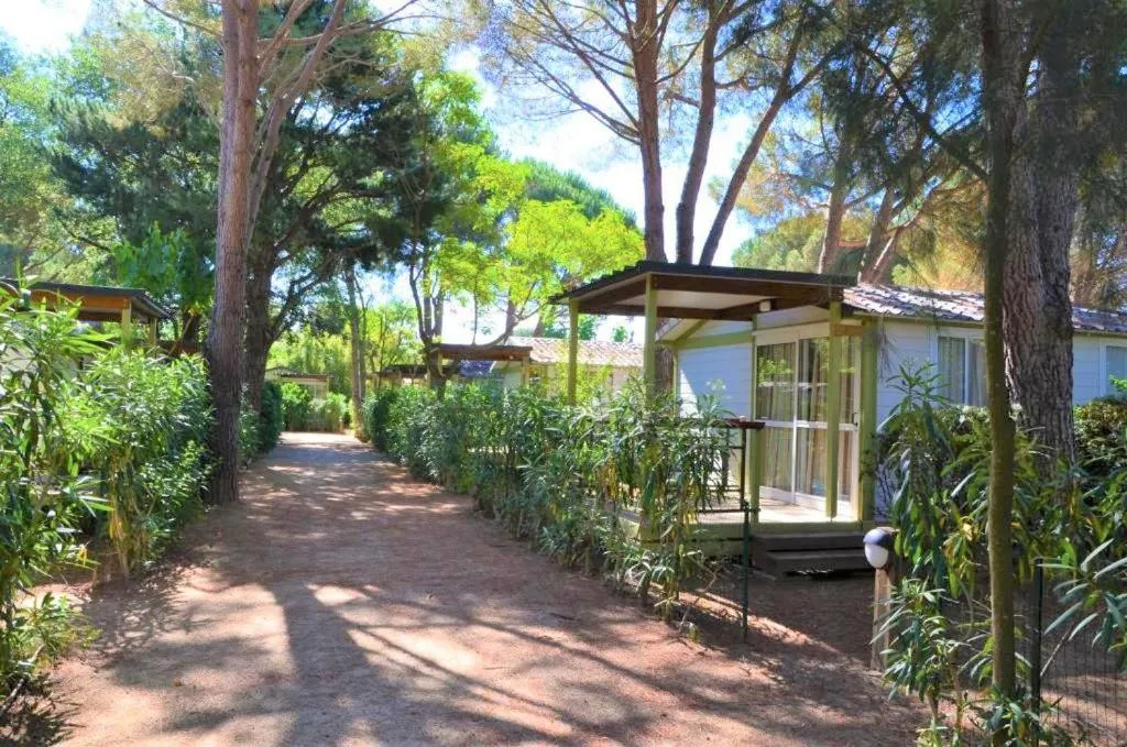 Garden view in Camping La Pinède Enchantée