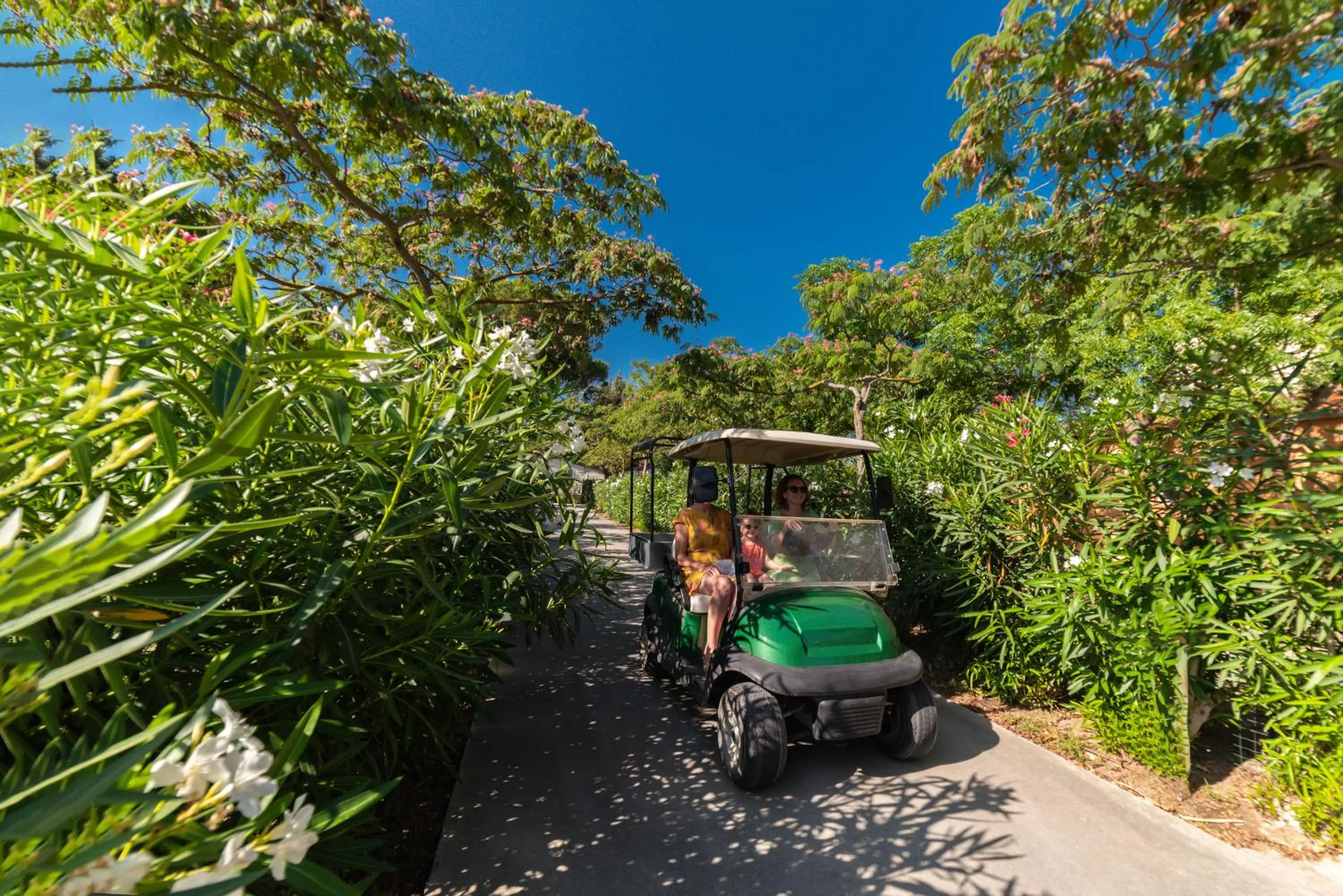 Garden in Camping La Pinède Enchantée