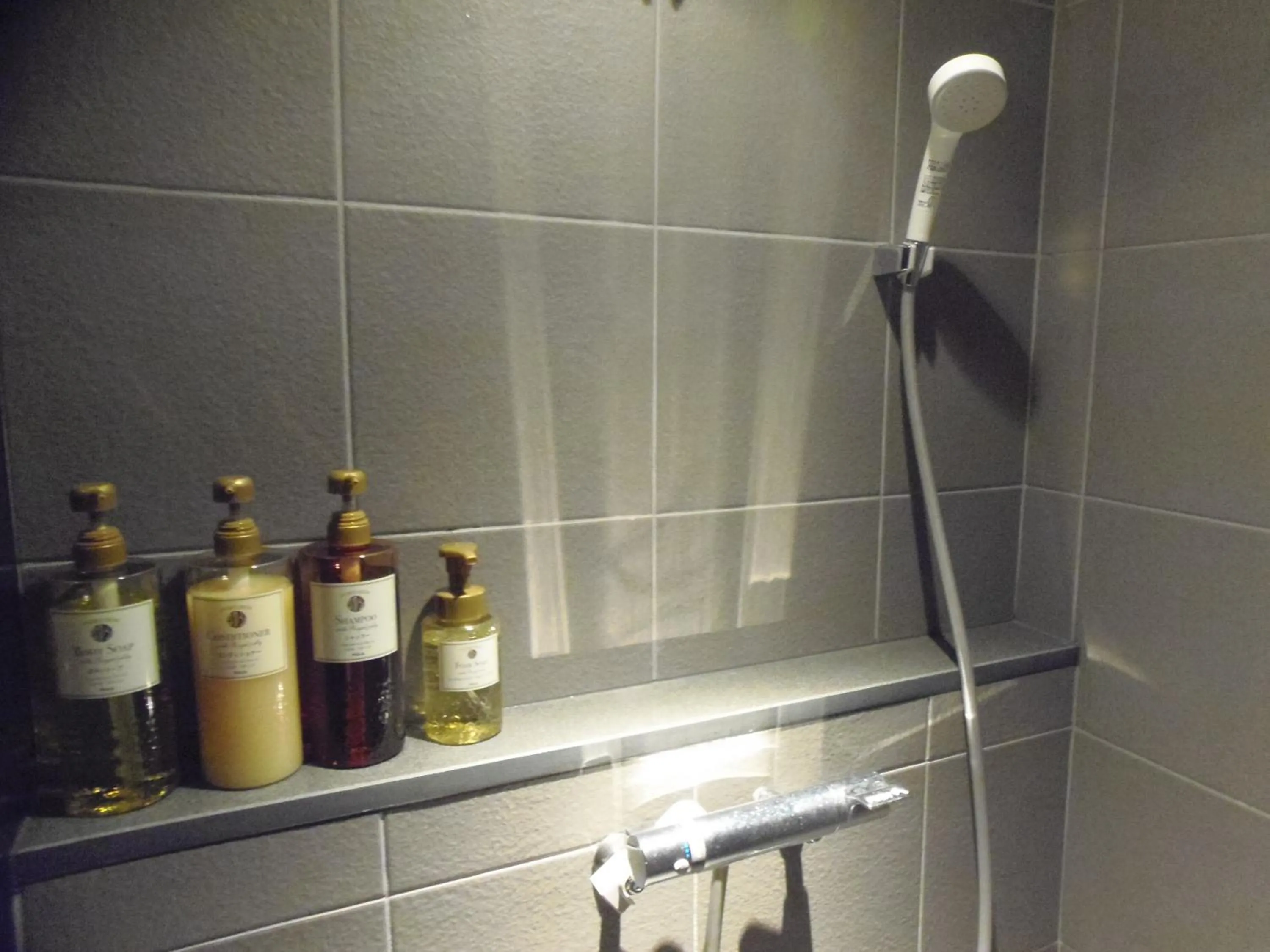 Shower in The Nell Ueno Okachimachi