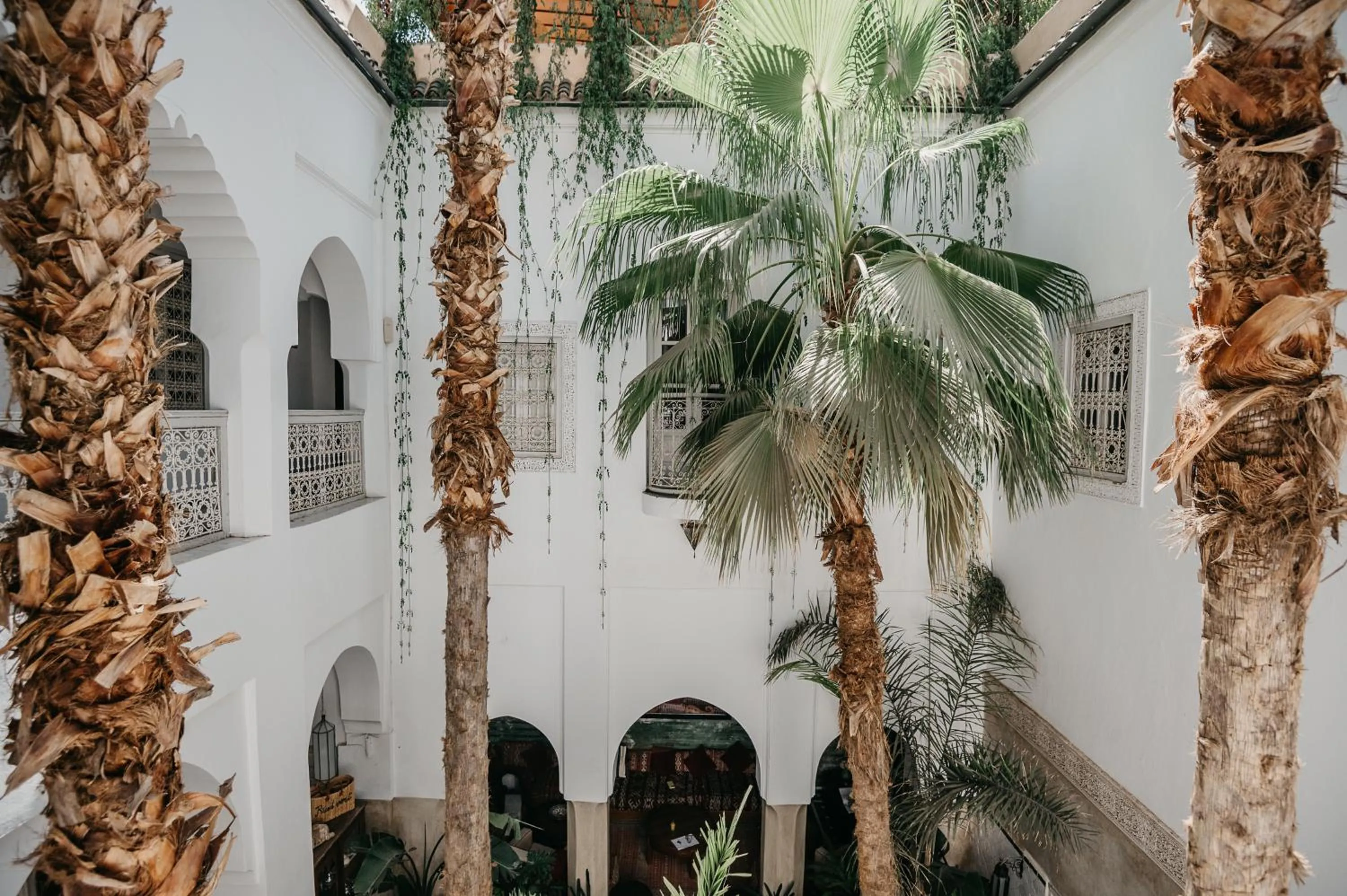 Patio in Riad Vert