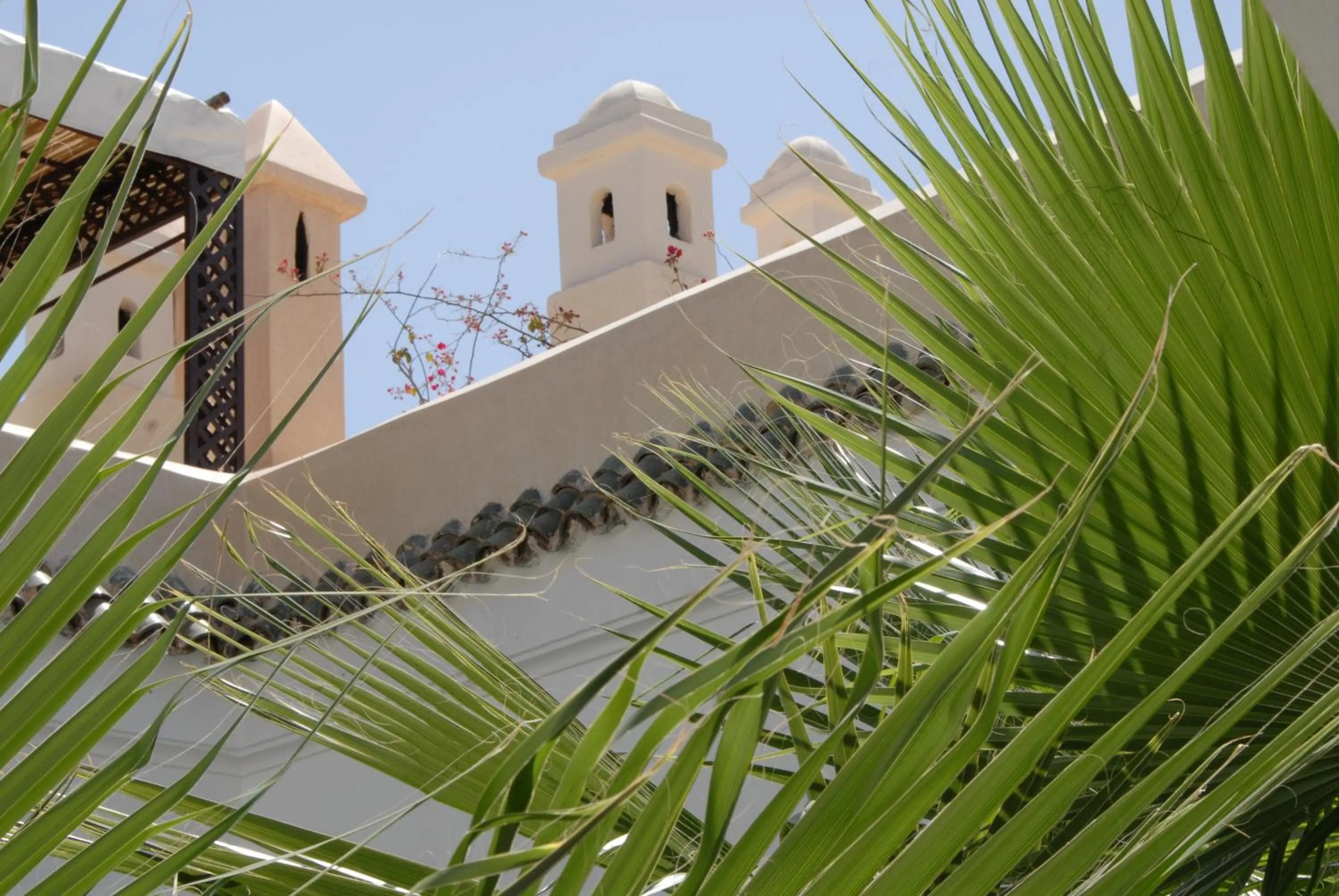 View (from property/room) in Riad Vert