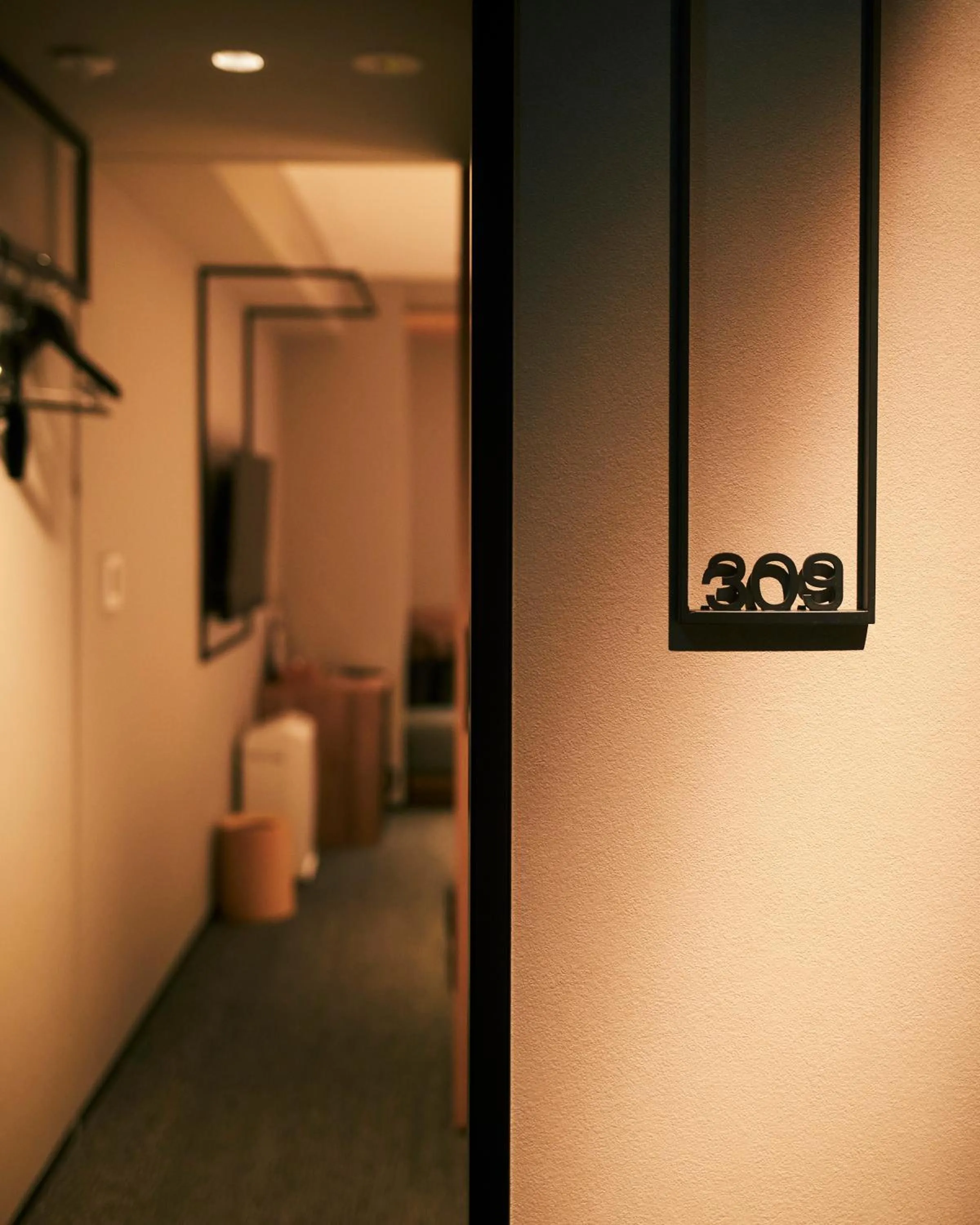 Other in hotel androoms Shin-Osaka