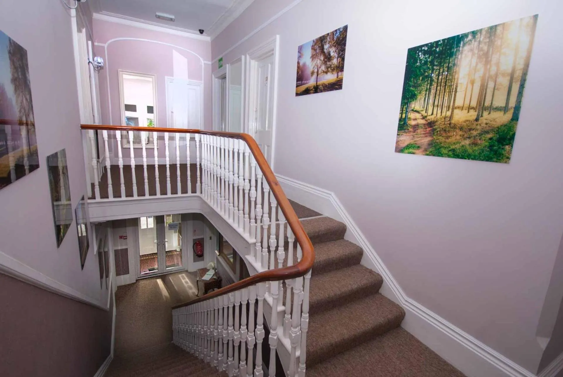 Garden in Somerton Lodge