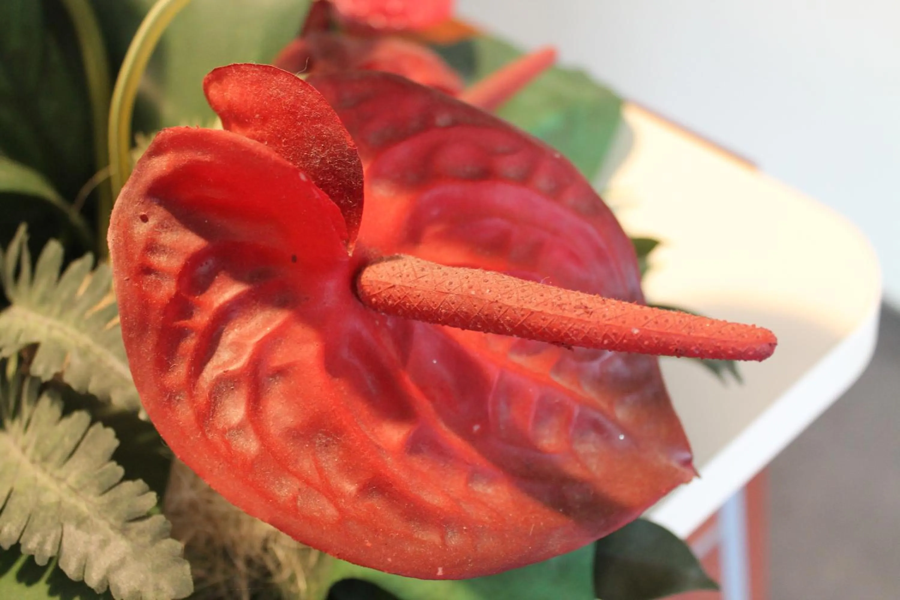 Decorative detail in Hotel Motel Giglio