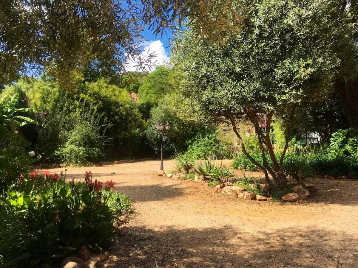 Garden in Aloe Guesthouse Klerksdorp