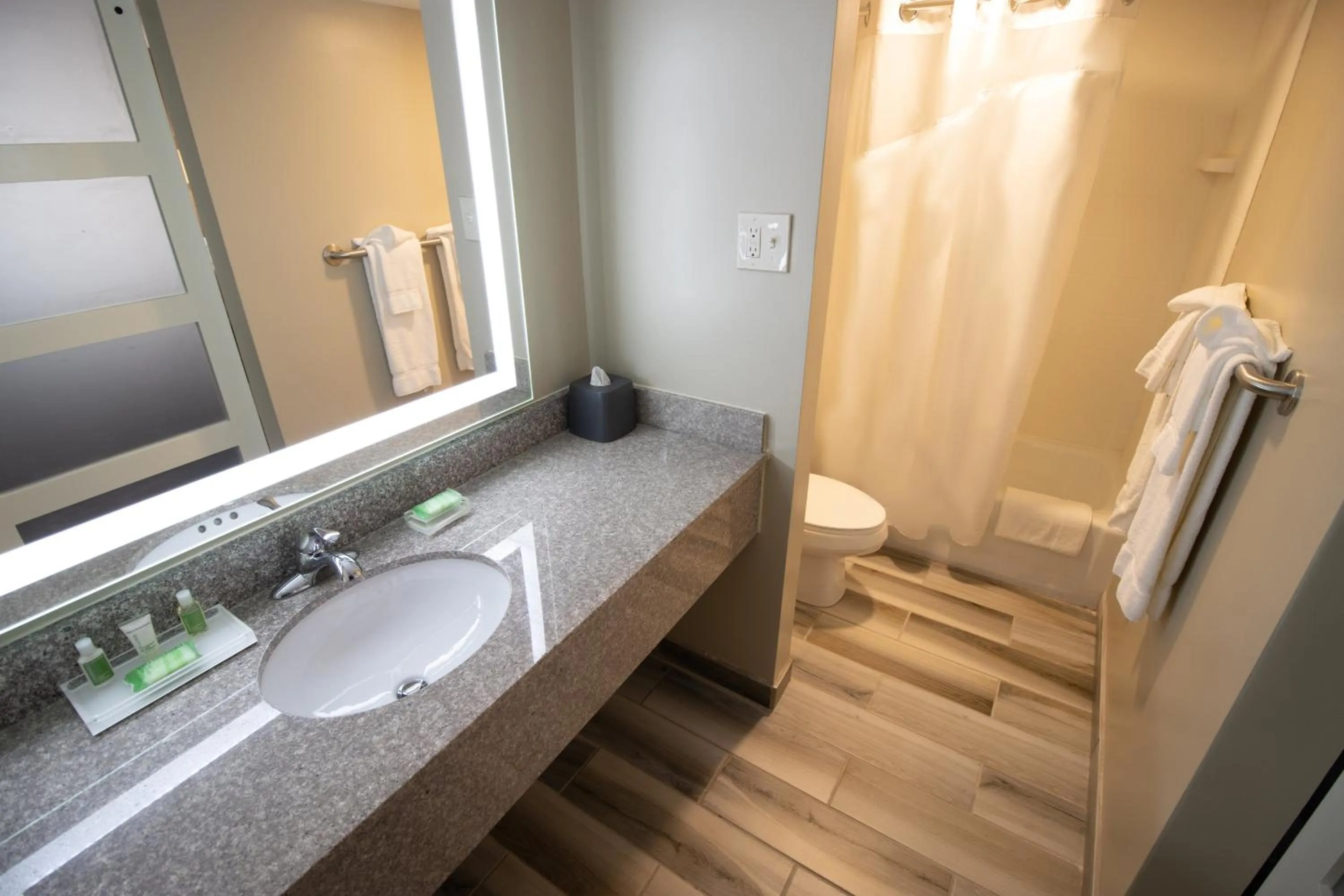 Bathroom in Holiday Inn Scranton East - Dunmore by IHG