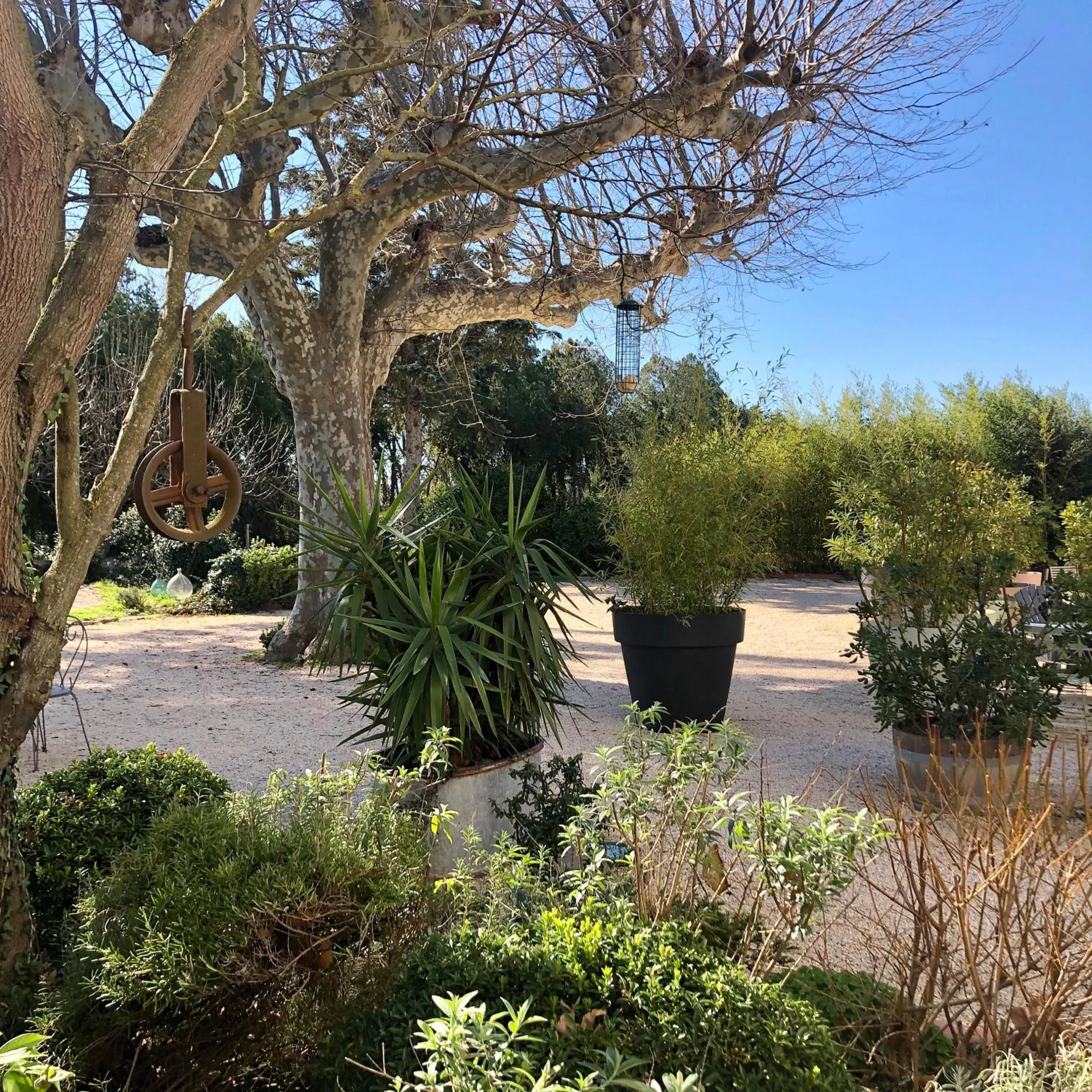 Garden view in Les intérieurs d'Angèle