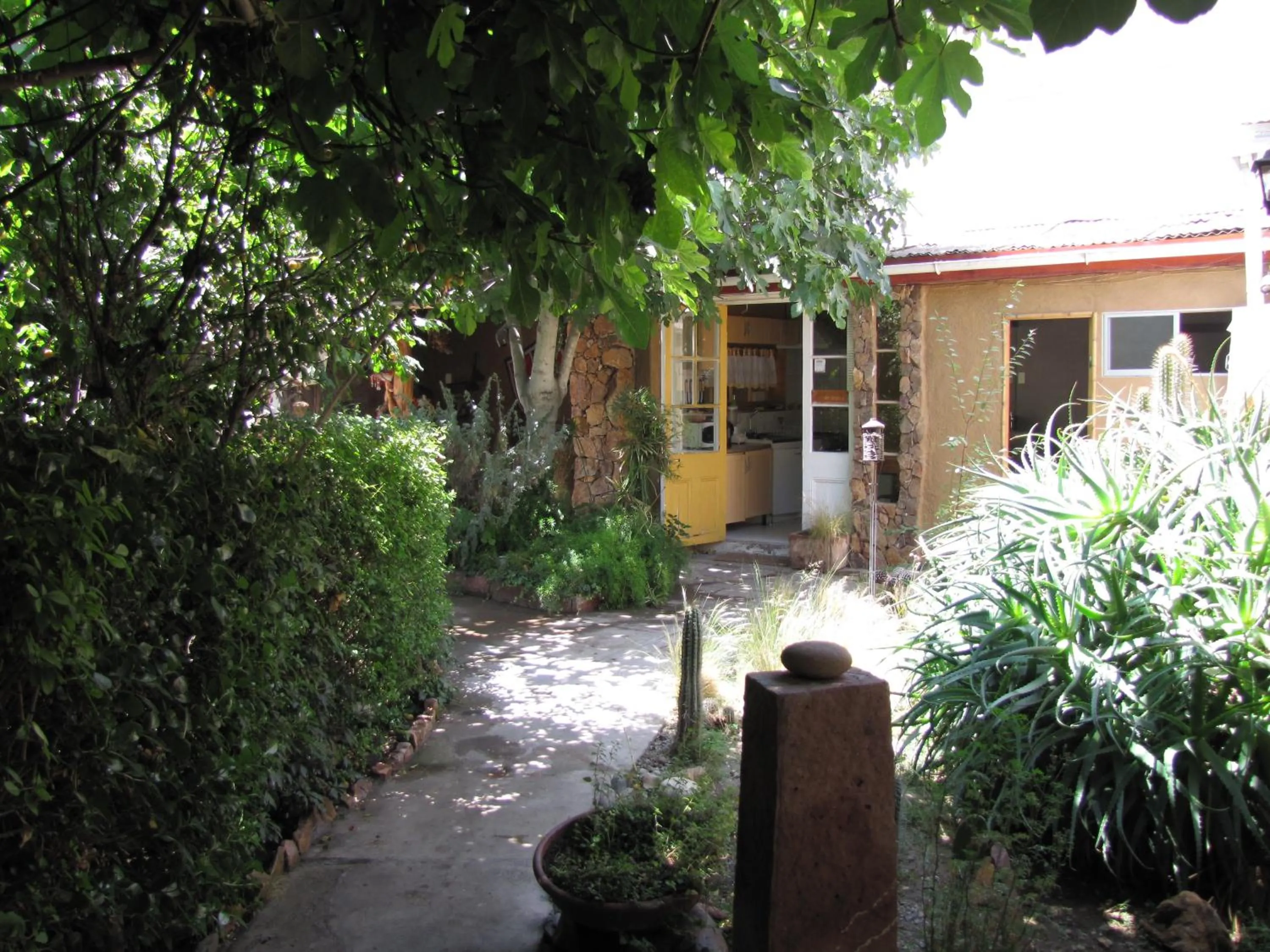Garden in Hotel Boutique Terra Diaguita & Spa
