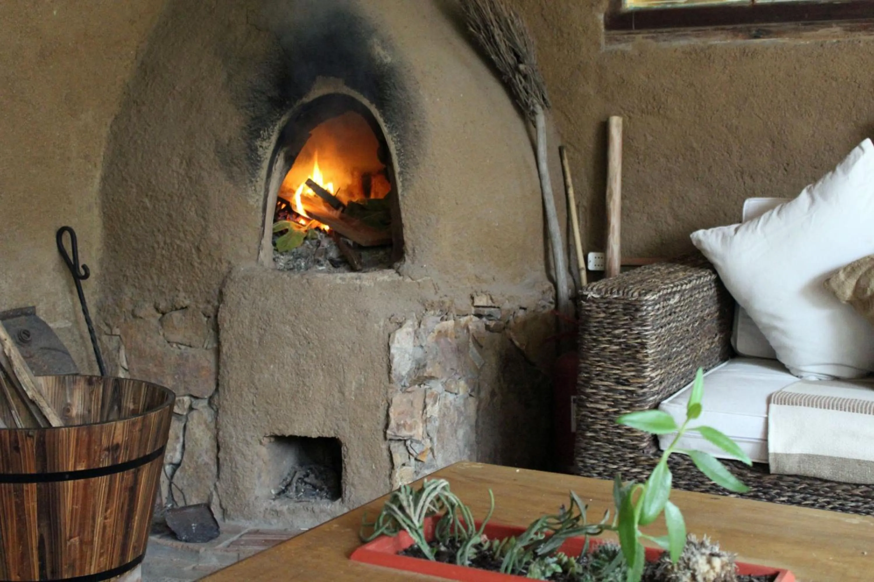 Activities in Hotel Boutique Terra Diaguita & Spa