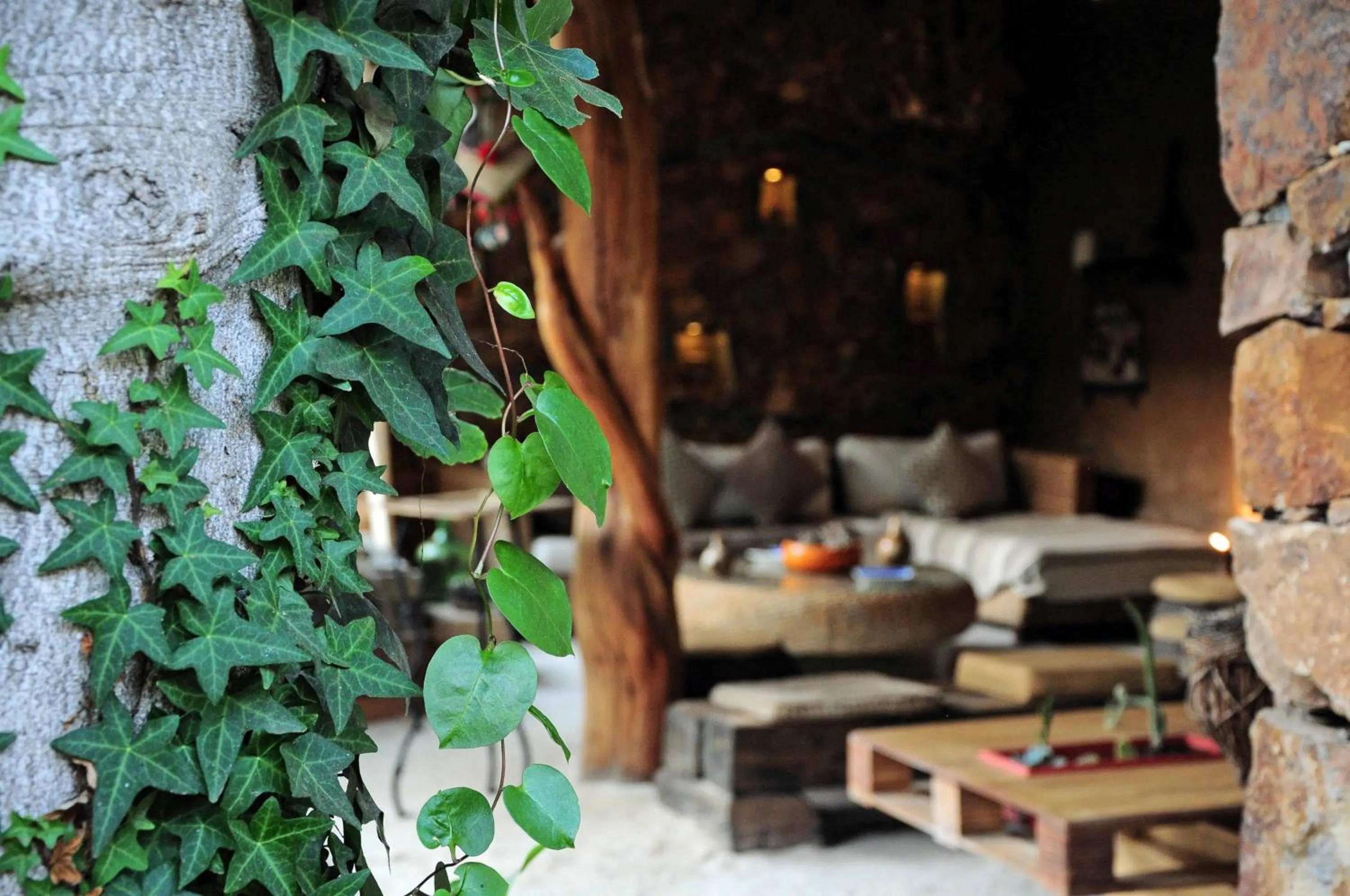 Garden in Hotel Boutique Terra Diaguita & Spa