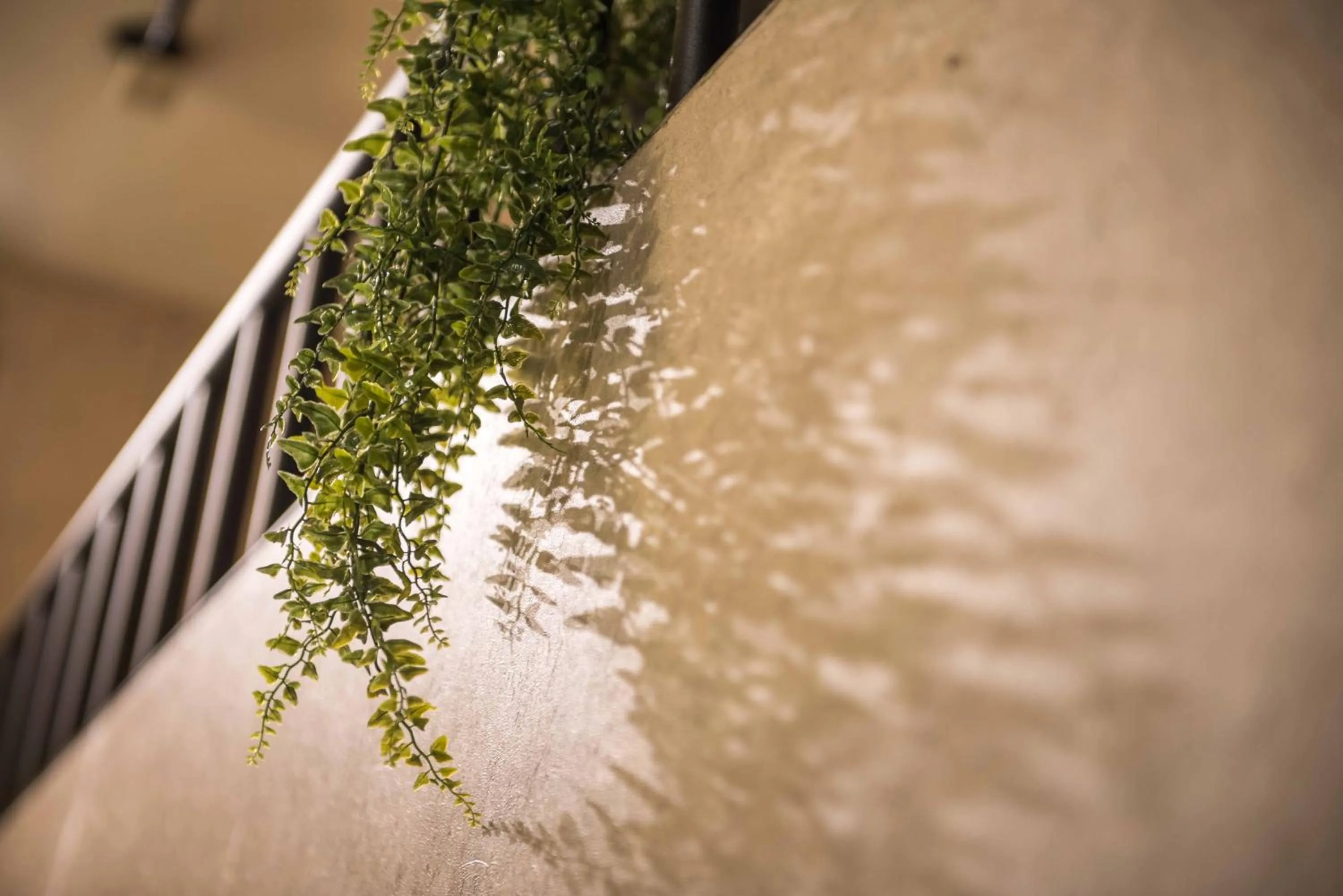 Small Bridge Good Home