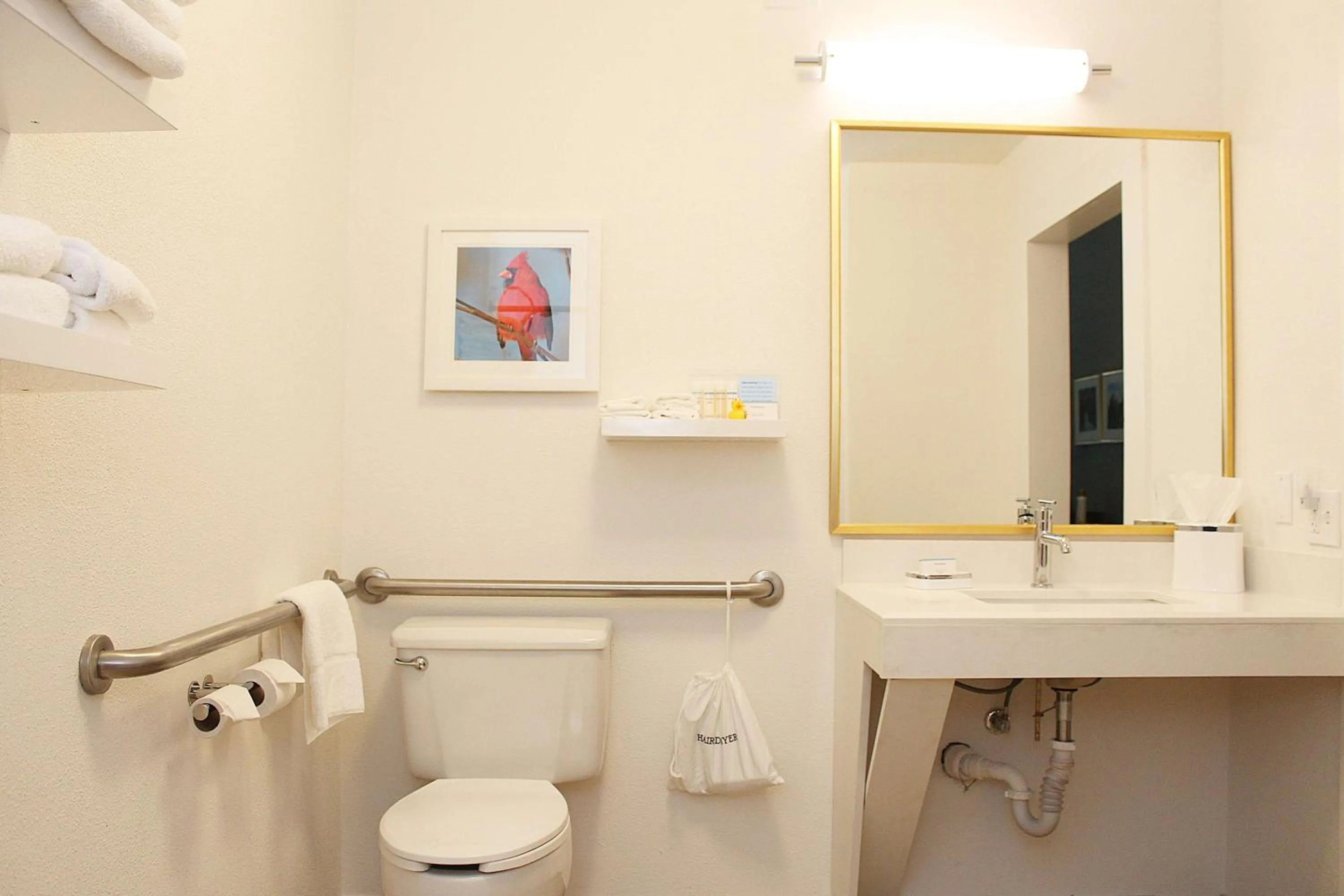 Bathroom in Hampton Inn Richmond KY