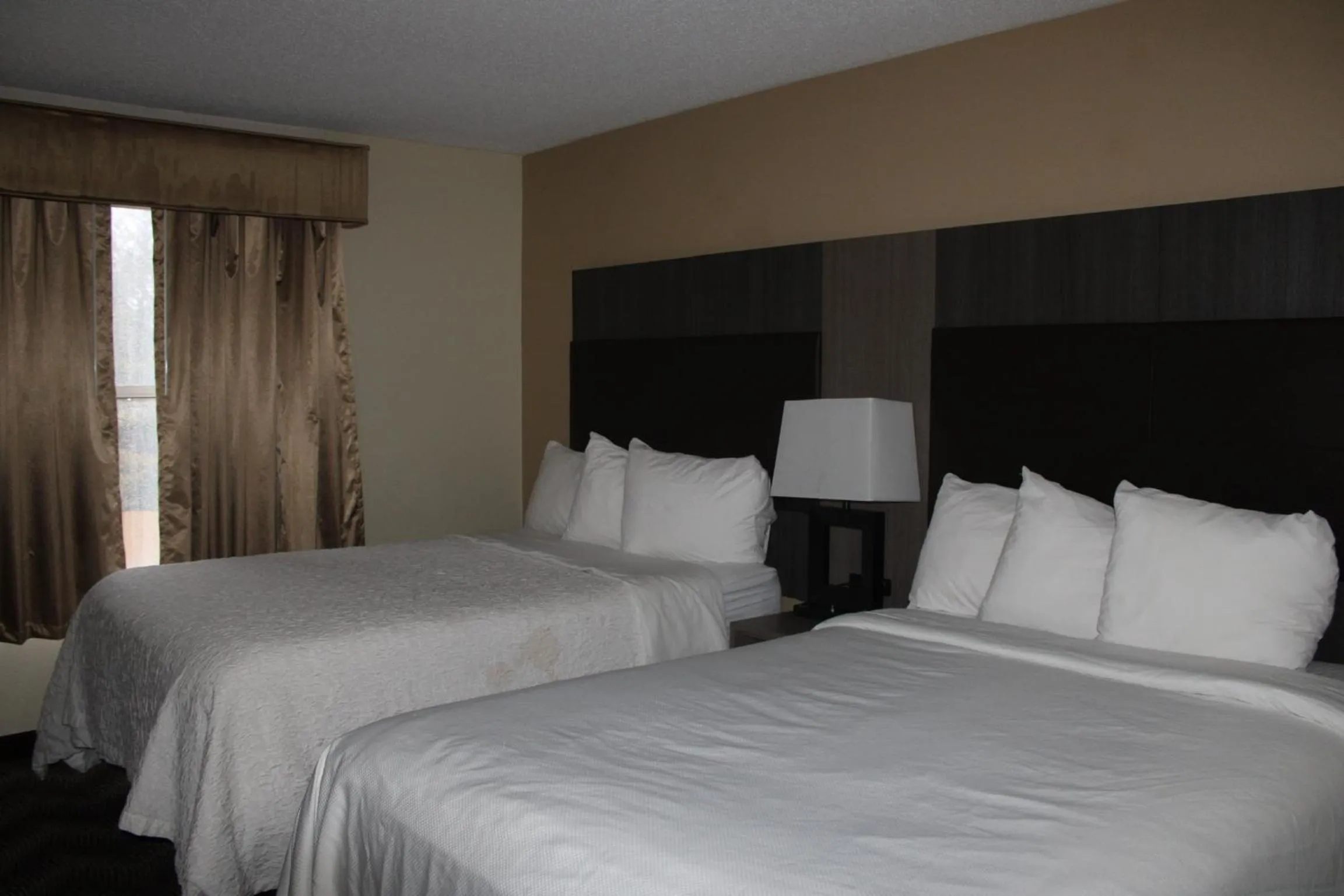 Bed in Quality Suites