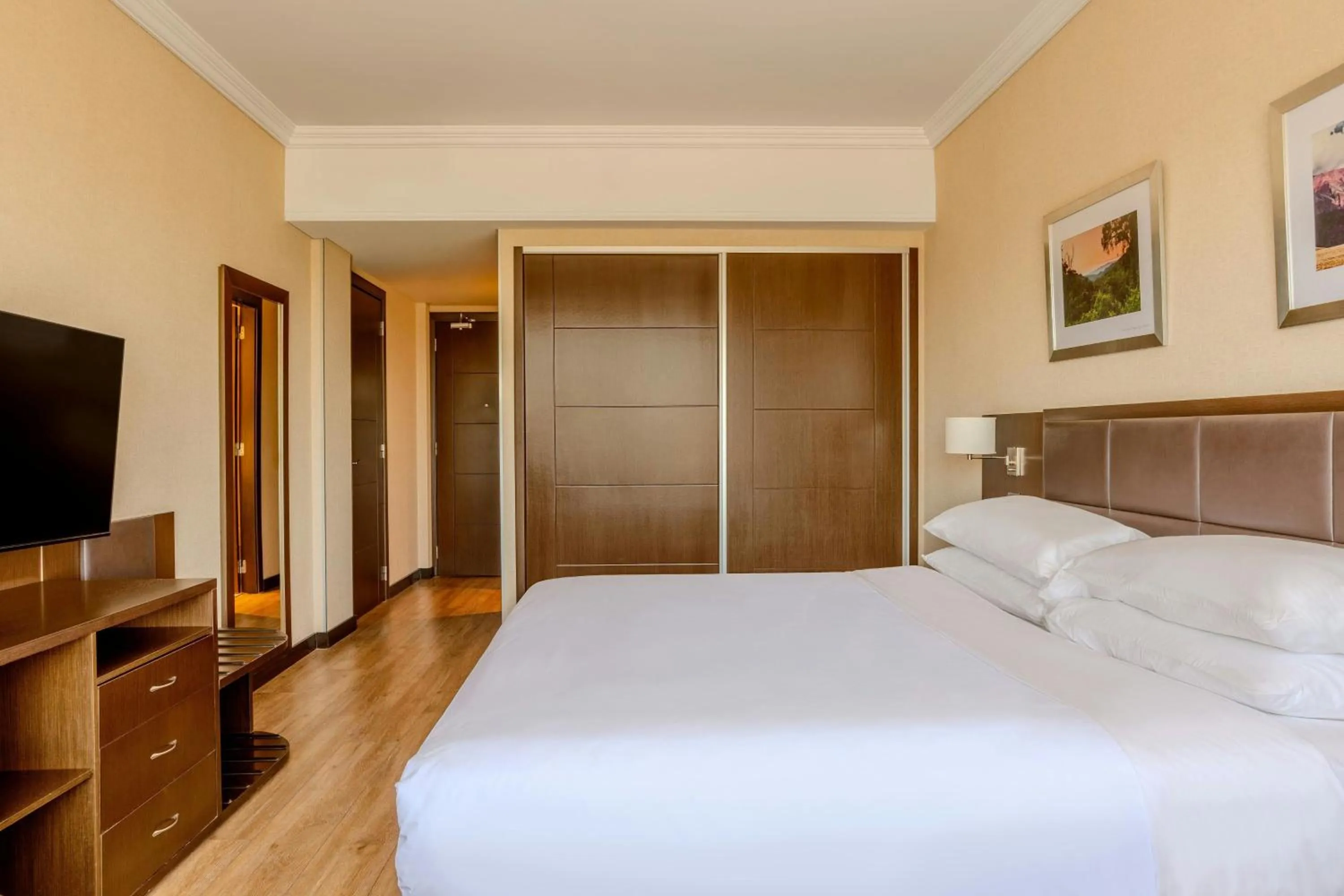 Photo of the whole room, Bed in Marriott Hotel Buenos Aires Ezeiza Airport