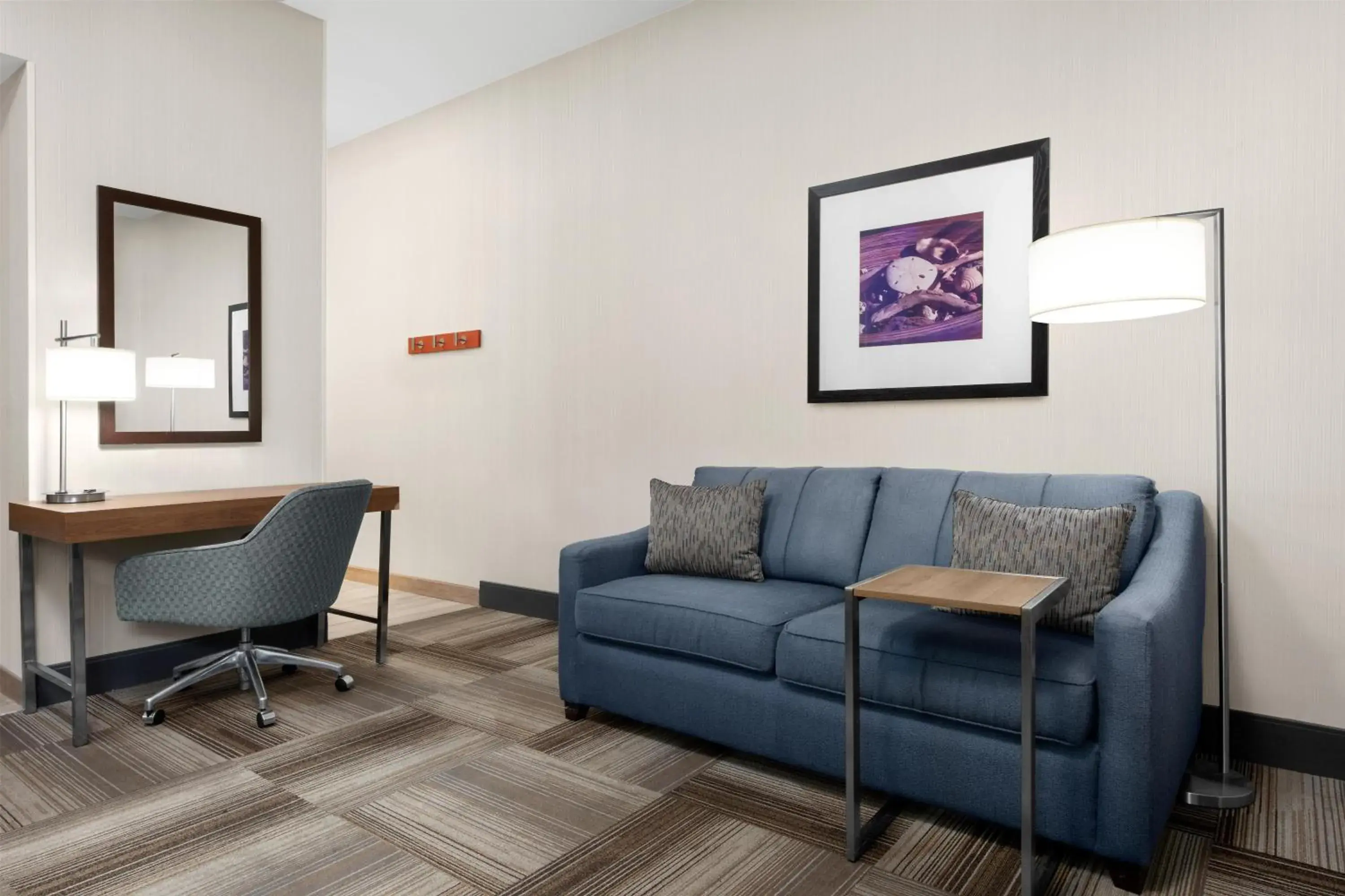 King Studio with Roll-In Shower - Disability Access in Hampton Inn & Suites Arroyo Grande King Studio with Roll-In Shower - Disability Access in Hampton Inn & Suites Arroyo Grande