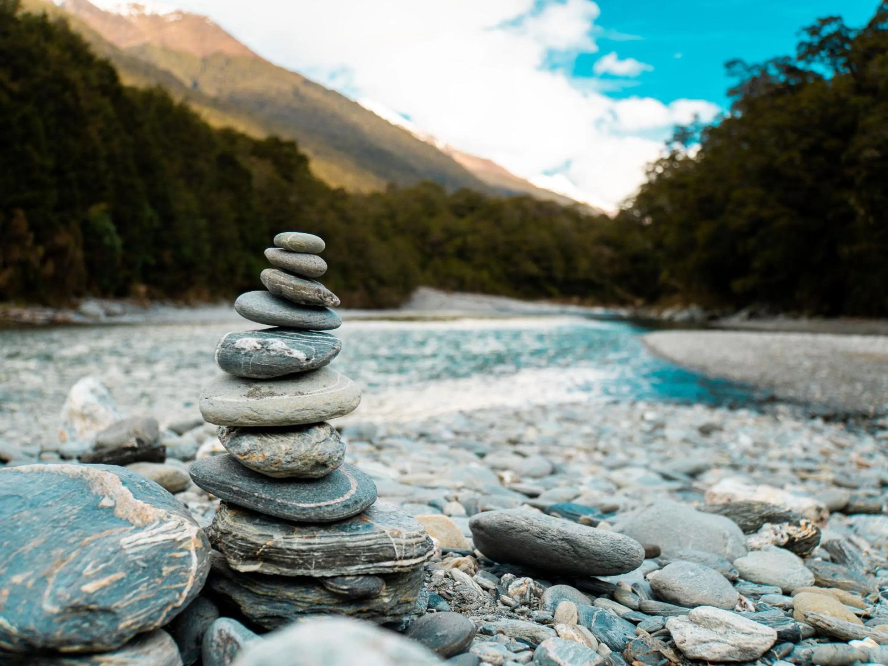 Natural landscape in Wonderland Makarora Lodge