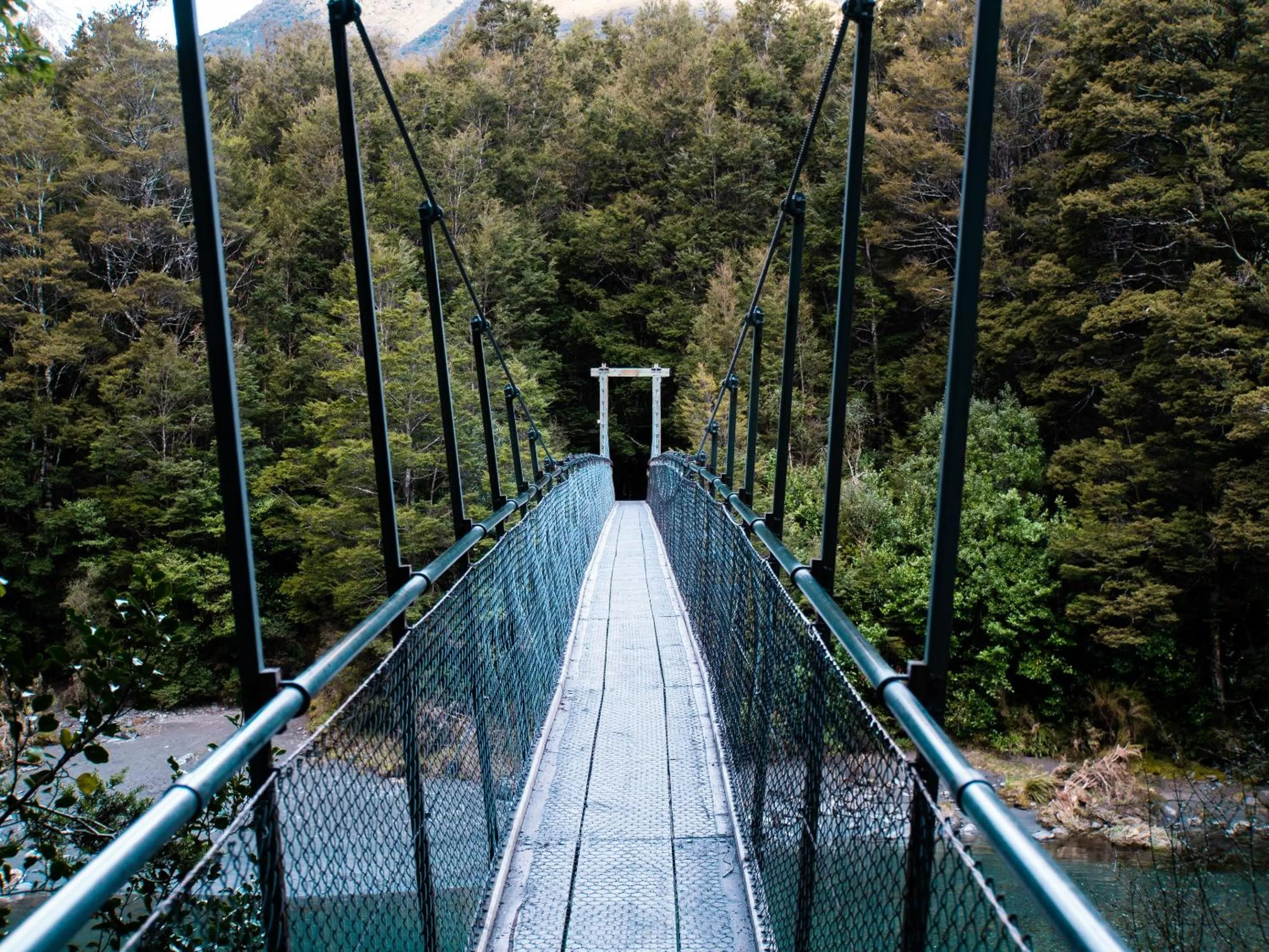 Garden view in Wonderland Makarora Lodge