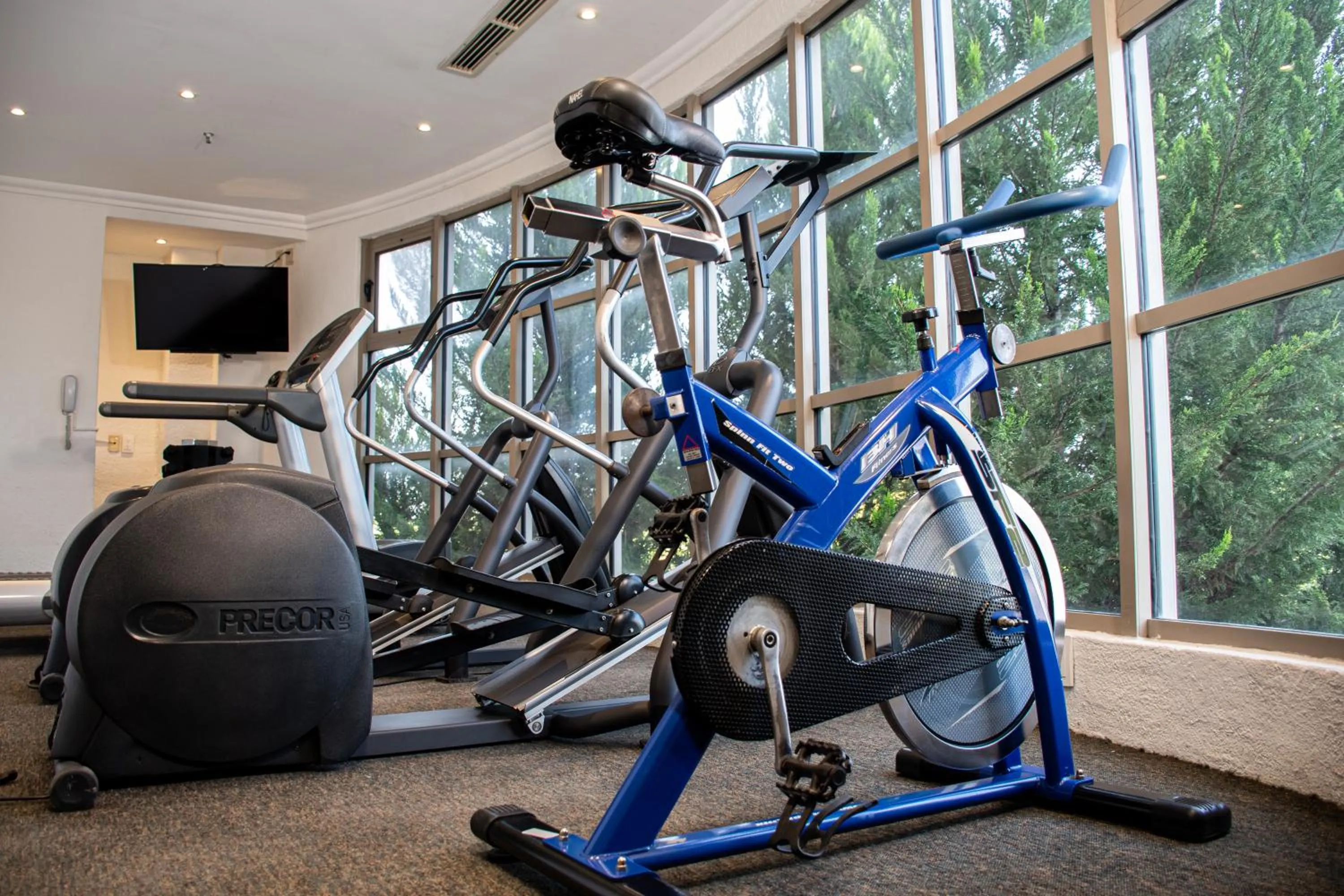 Fitness centre/facilities in Hotel Victoria Express