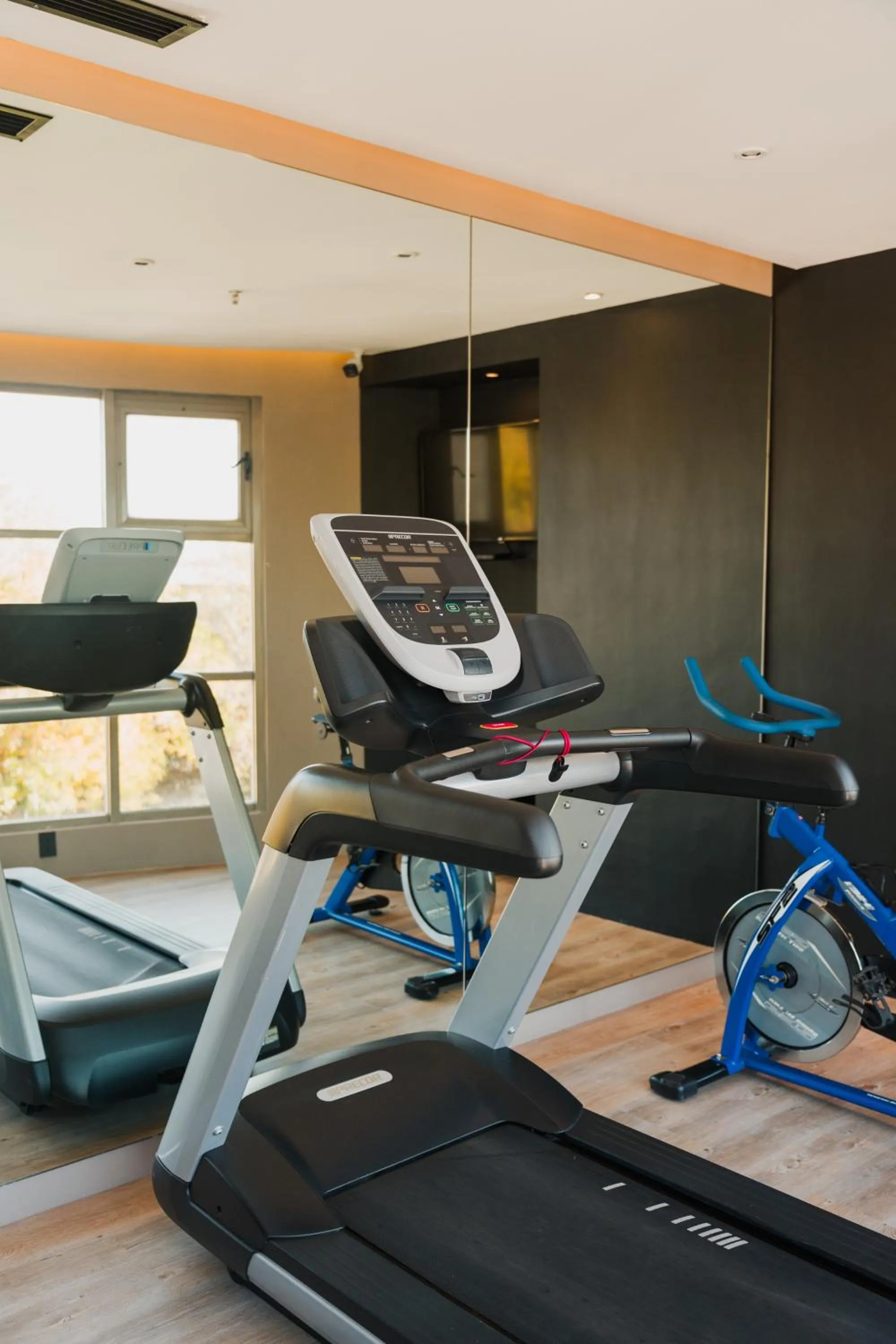 Fitness centre/facilities in Hotel Victoria Express