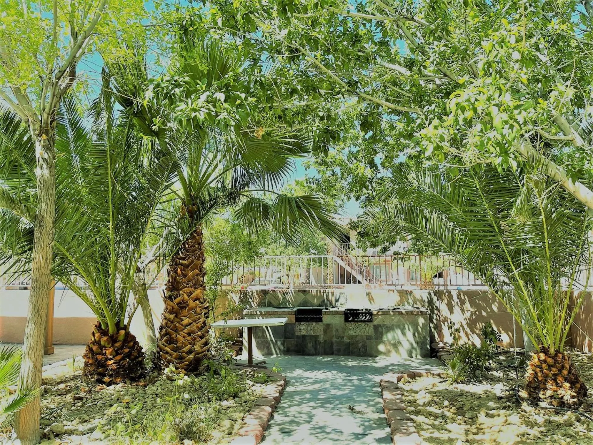 Garden in Death Valley Inn