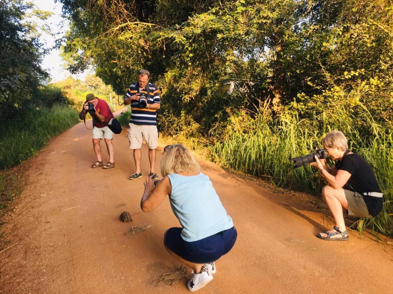 Natural landscape in Mahoora - Yala by Eco Team