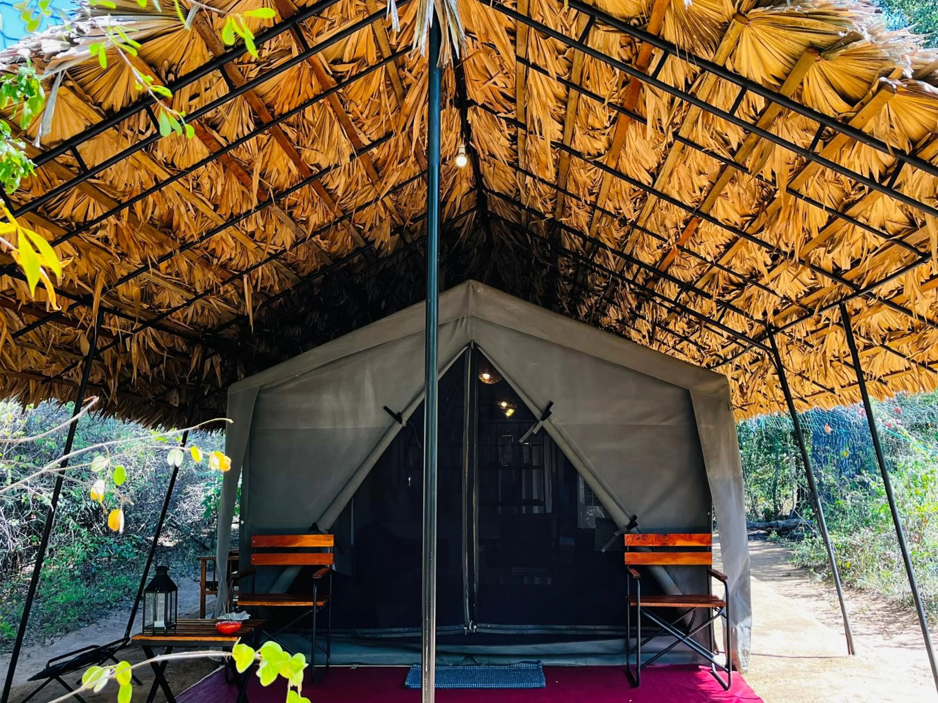 View (from property/room) in Mahoora - Yala by Eco Team