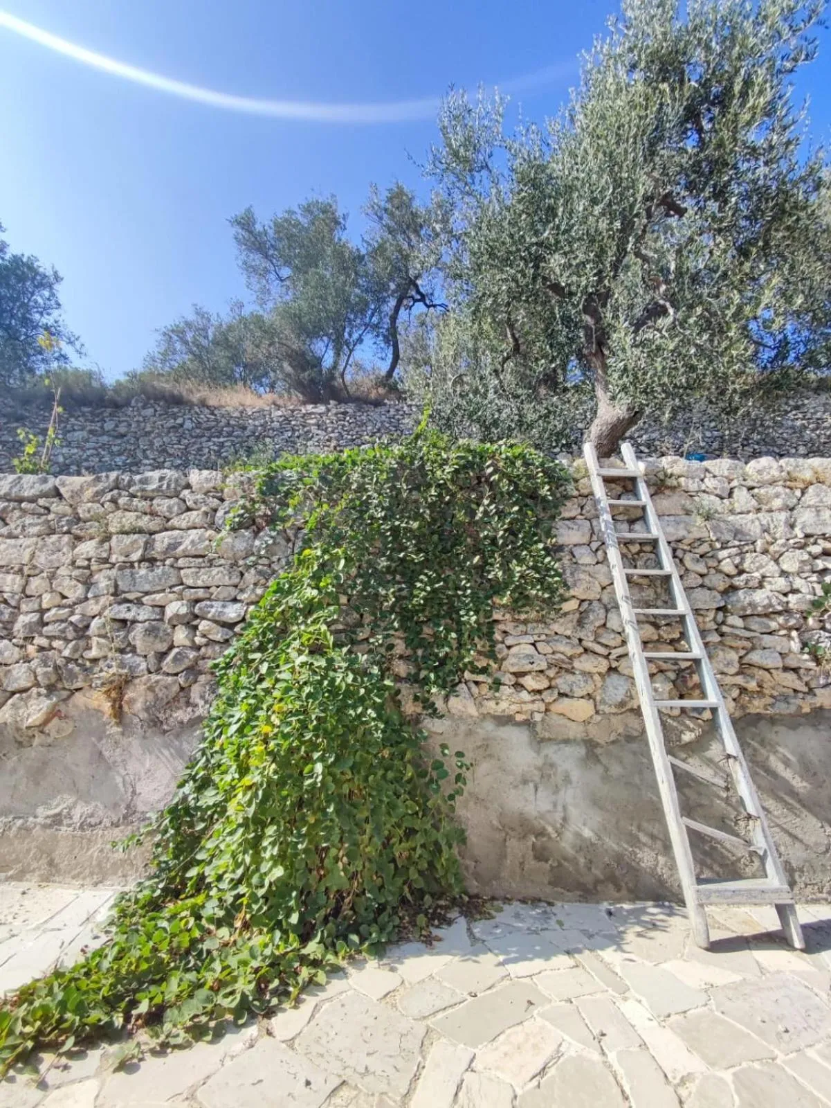 Spring in Dimora Mediterranea