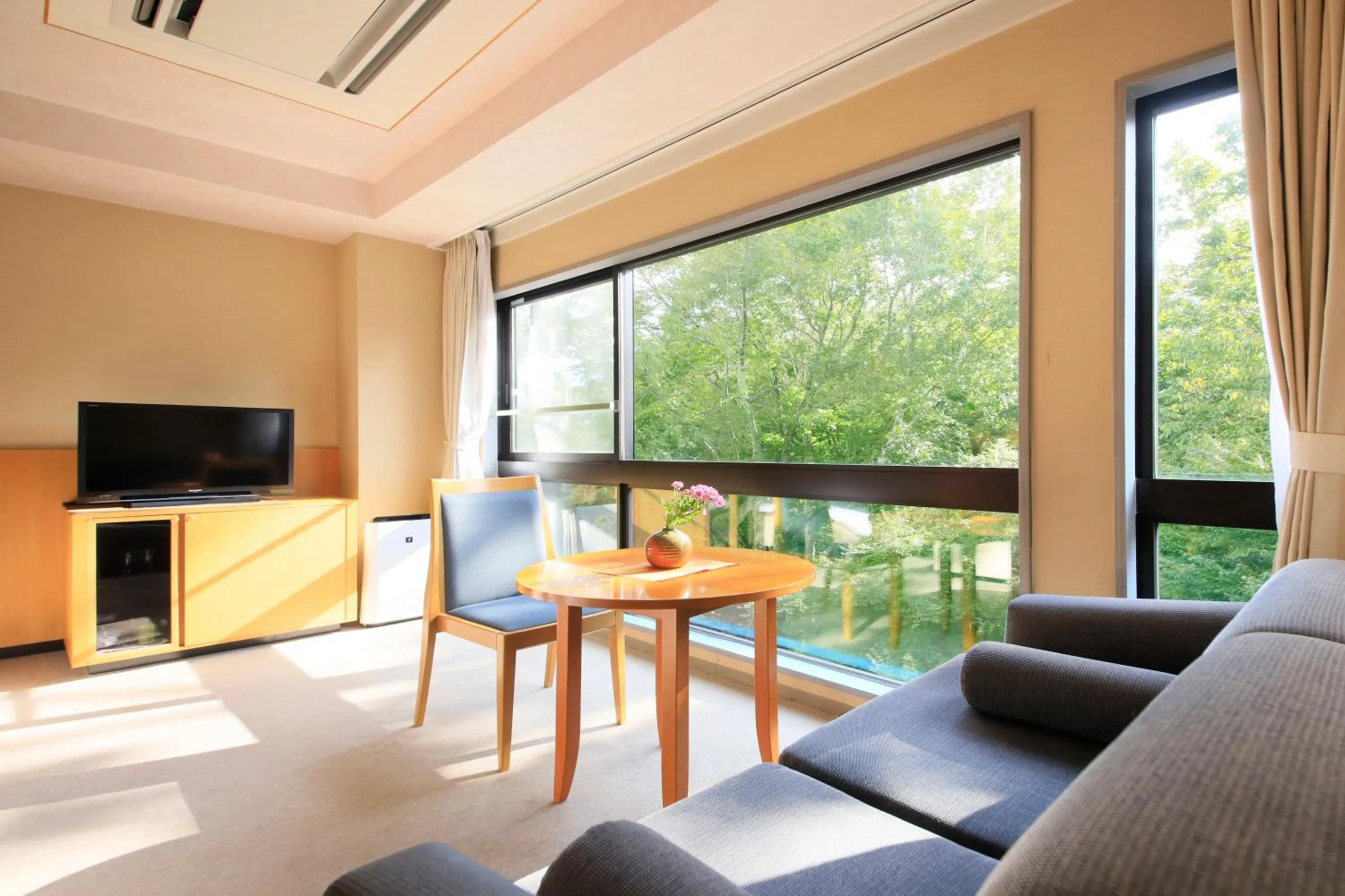 TV and multimedia in Hotel Shikisai