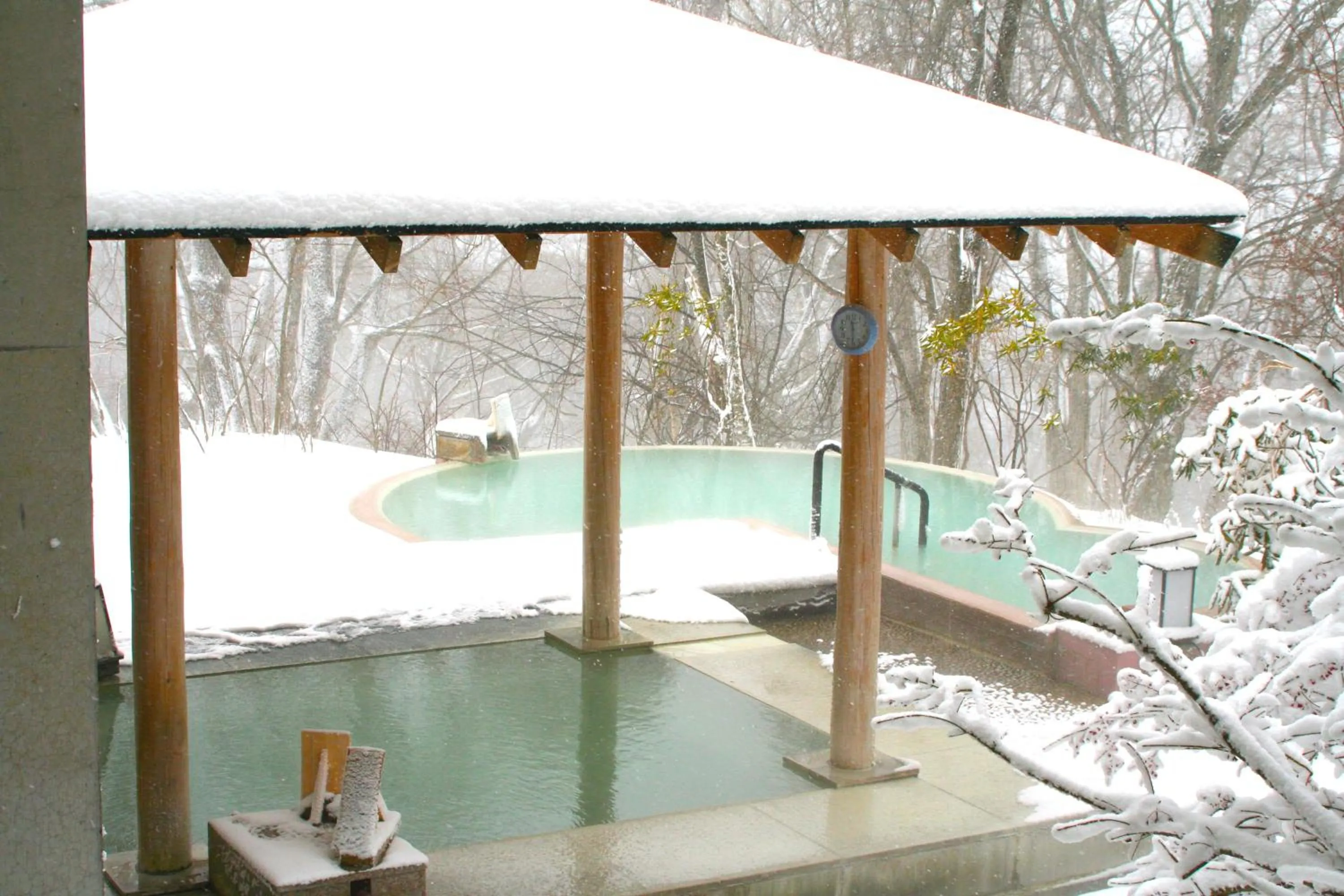 Winter in Hotel Shikisai