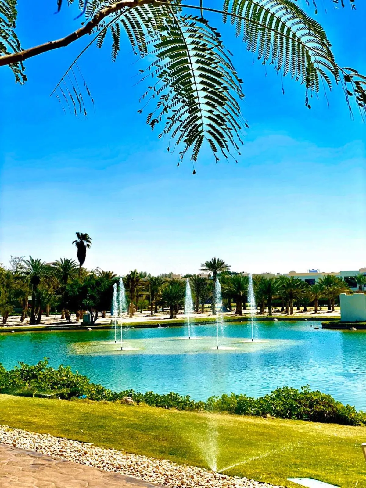 Natural landscape in Retaj Salwa Resort & Spa