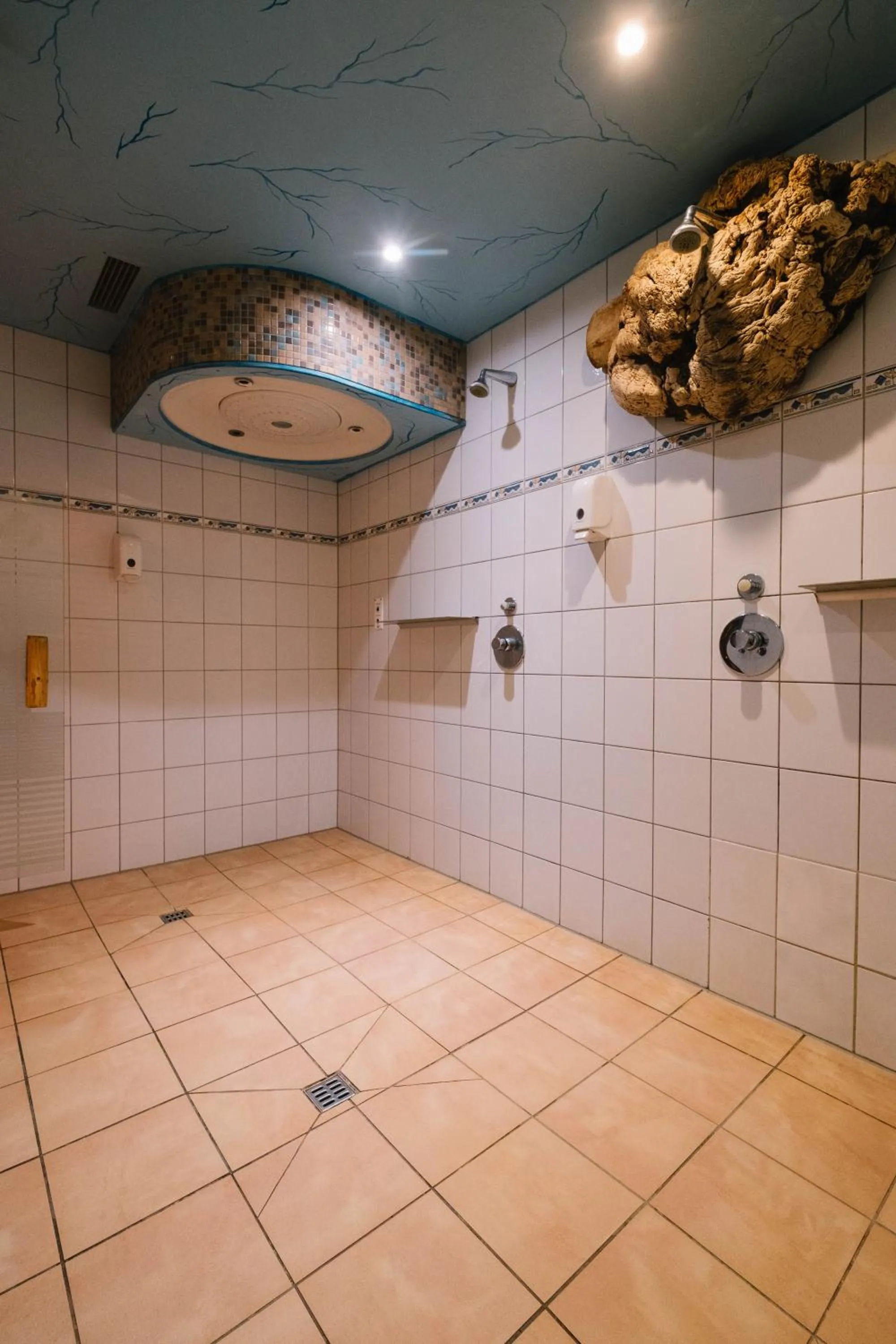 Spa and wellness centre/facilities in hotel zentlinde