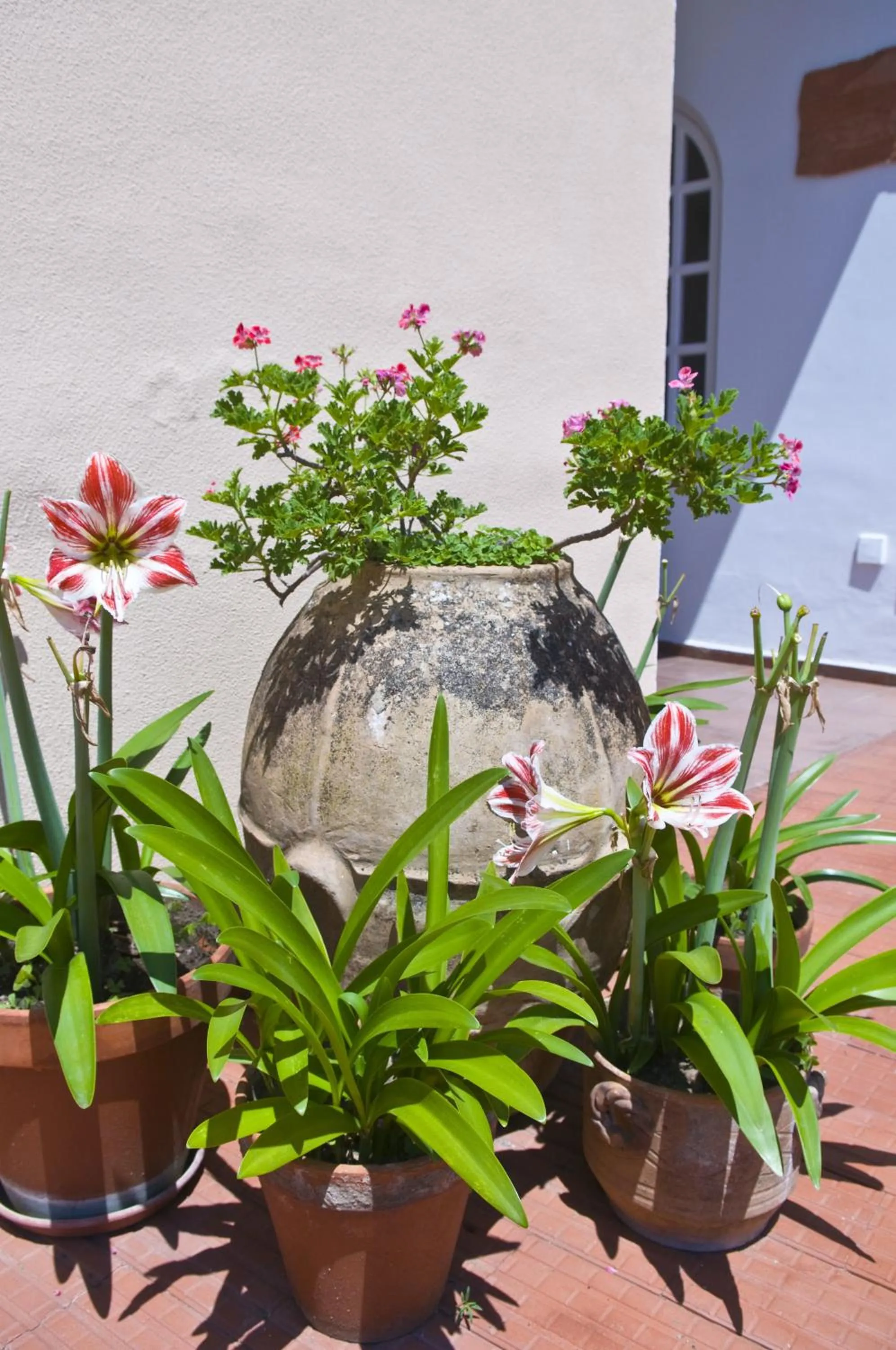 Decorative detail in Hotel Villa Sarah