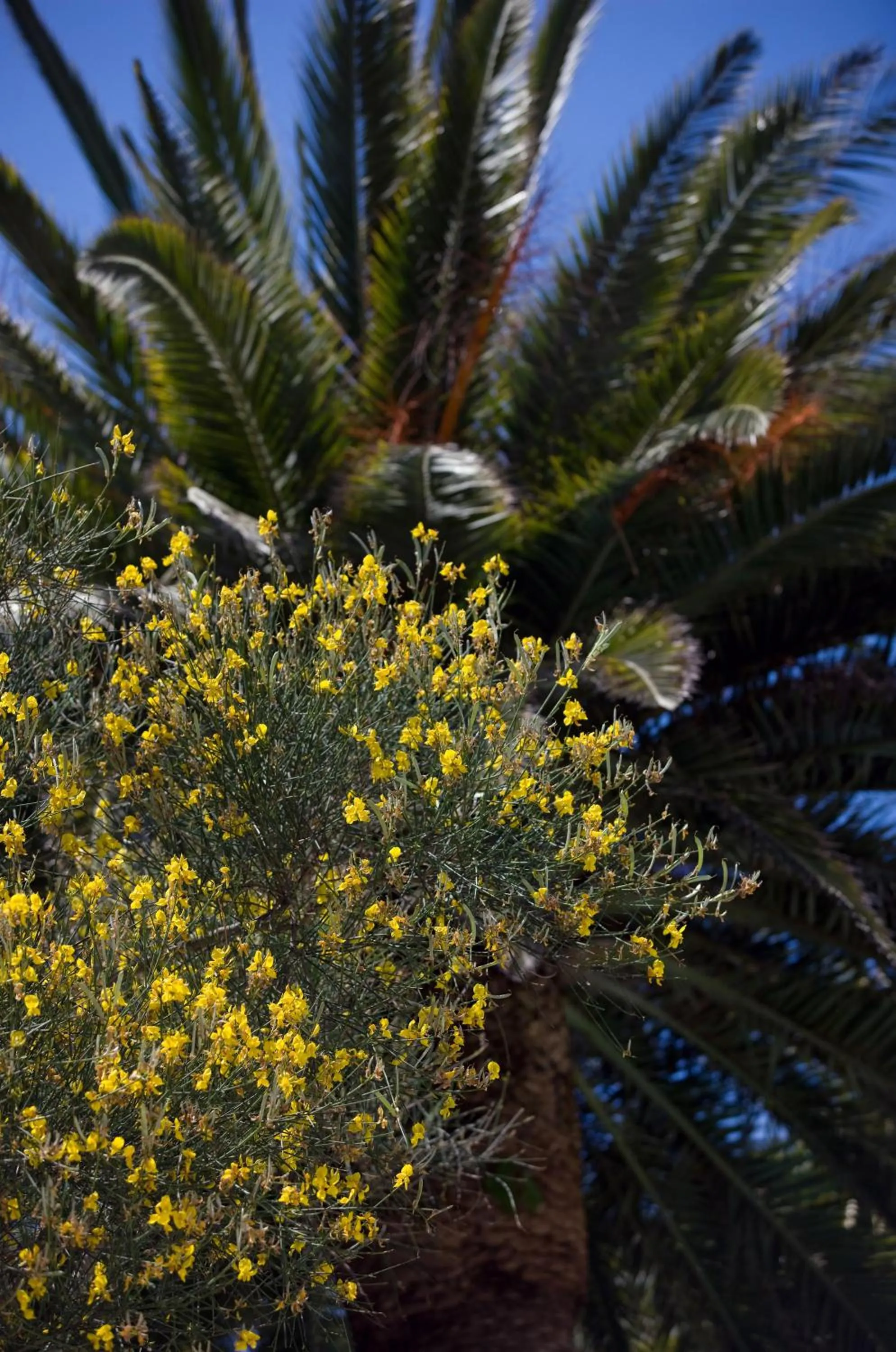 Other in Hotel Villa Sarah