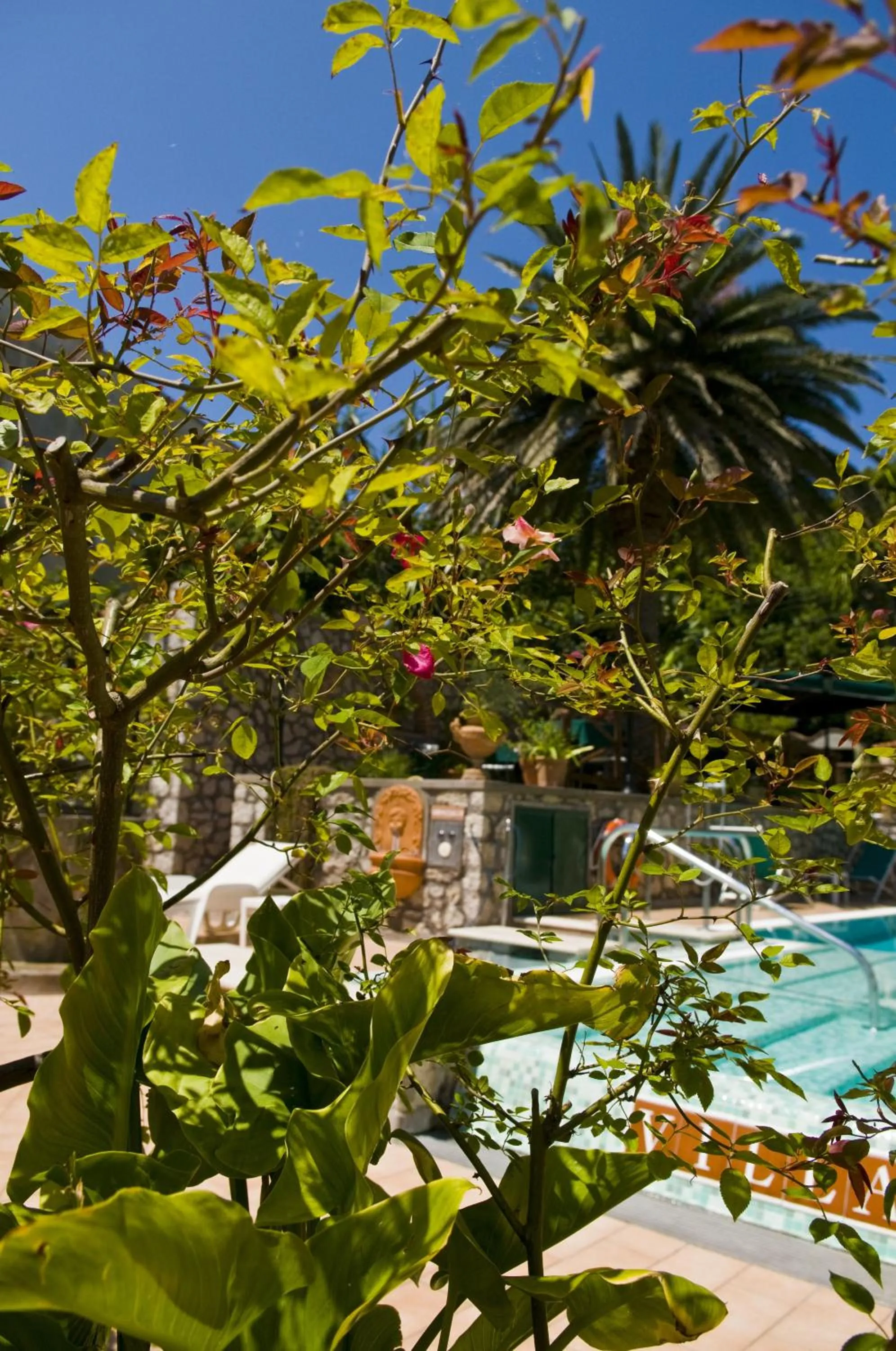 Pool view in Hotel Villa Sarah