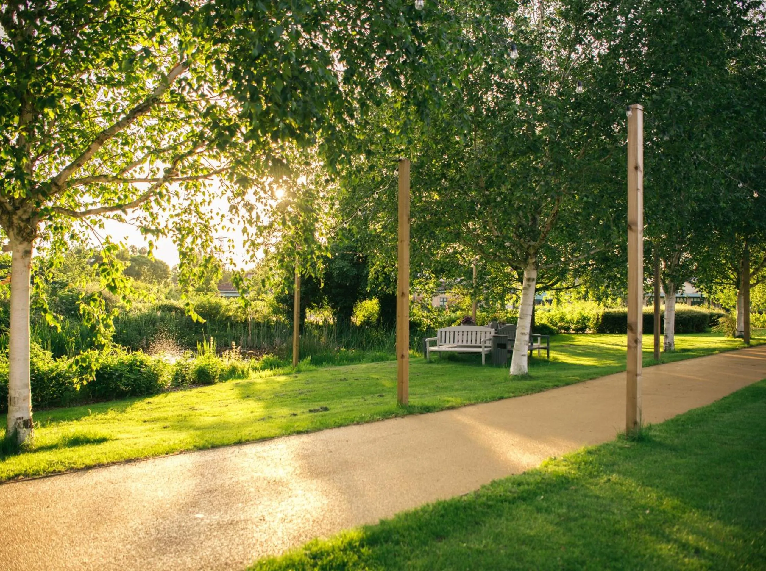 Natural landscape in Drift Inn formerly the Waterfront Hotel