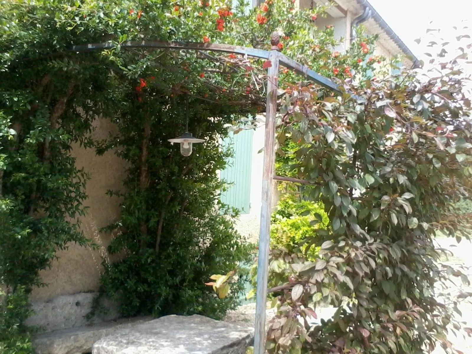 Patio in Mas la Vitalis Chambres D'Hôtes