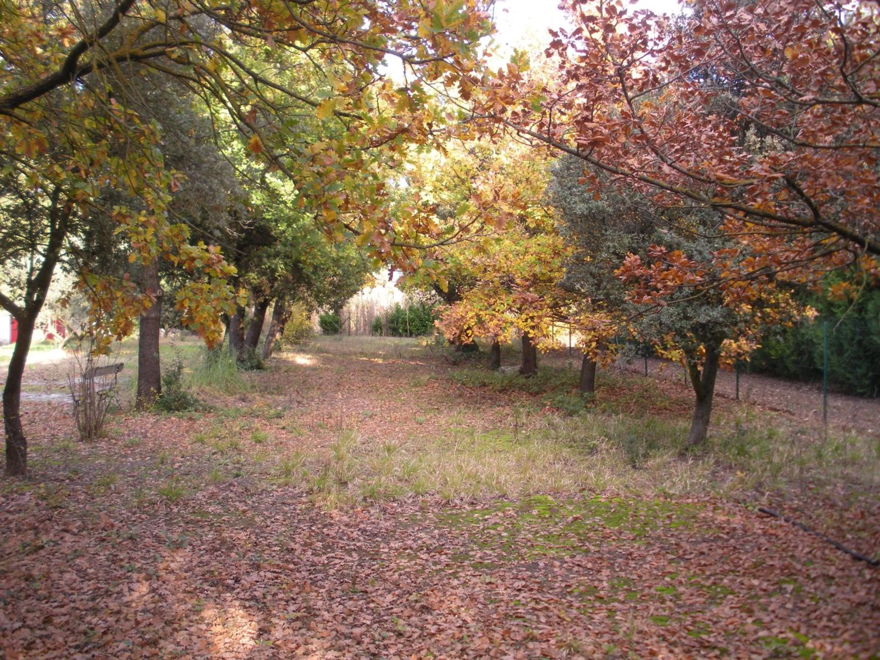 Garden in Mas la Vitalis Chambres D'Hôtes