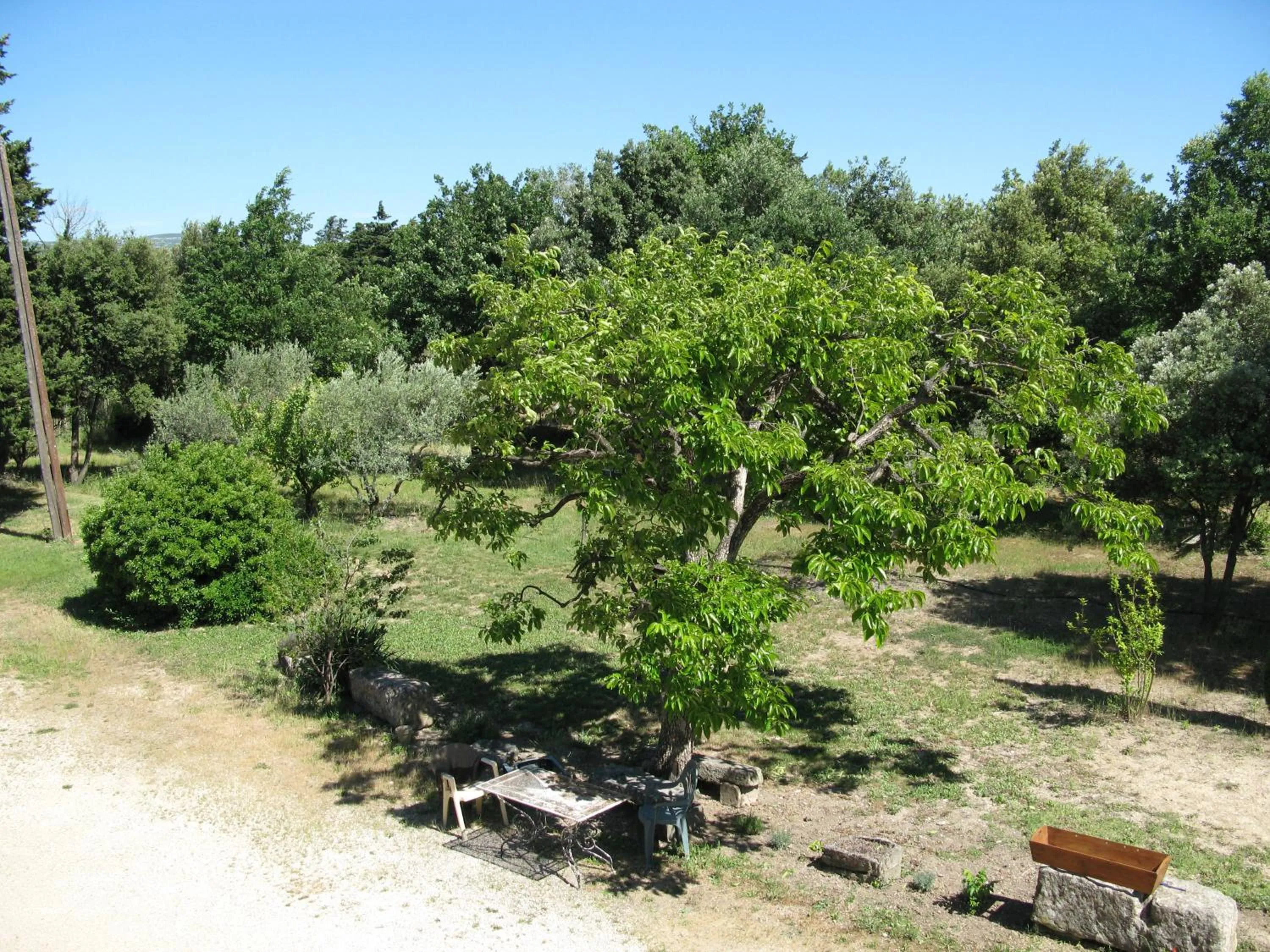Garden view in Mas la Vitalis Chambres D'Hôtes