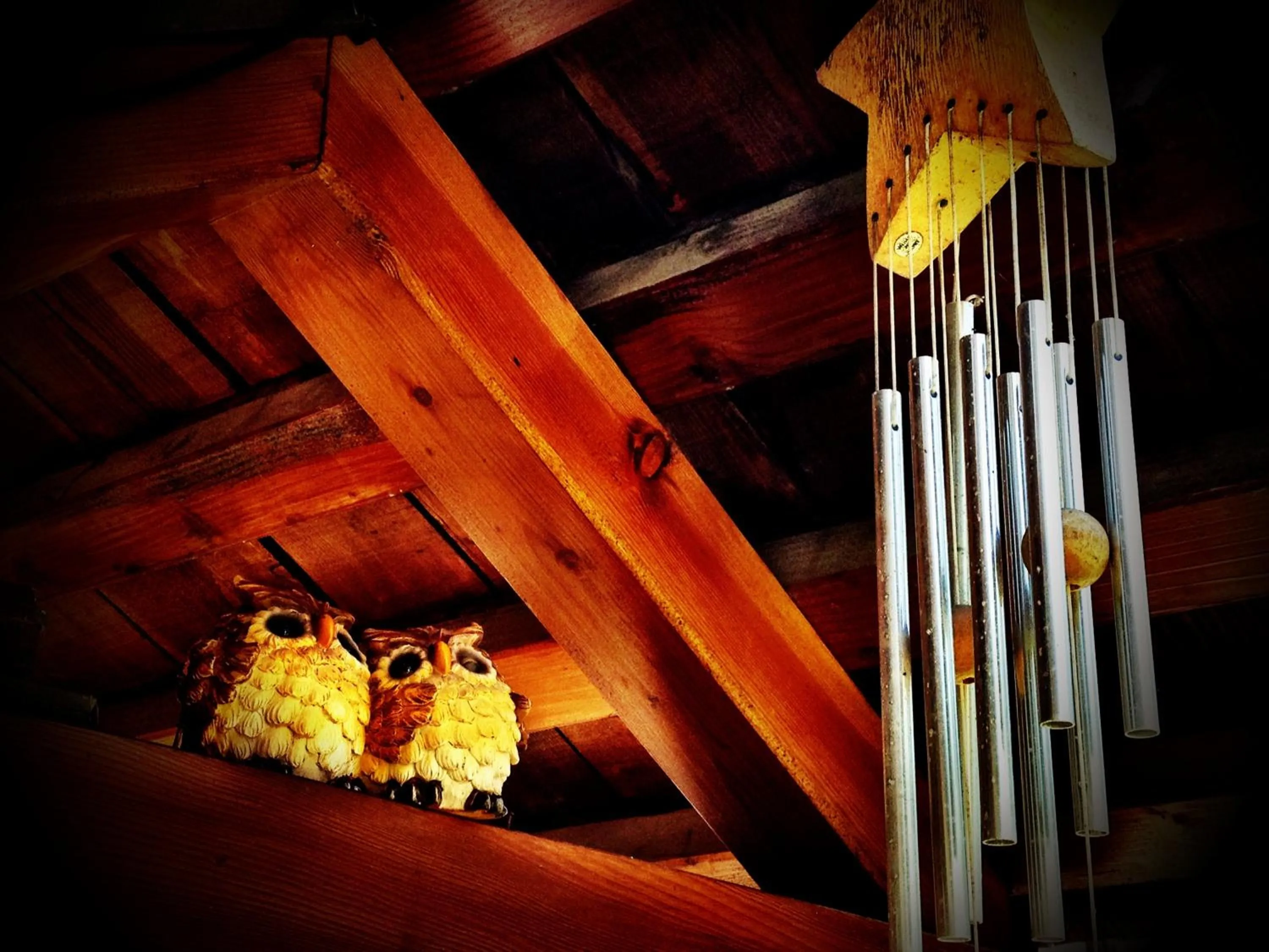 Garden in Hotel al Sole